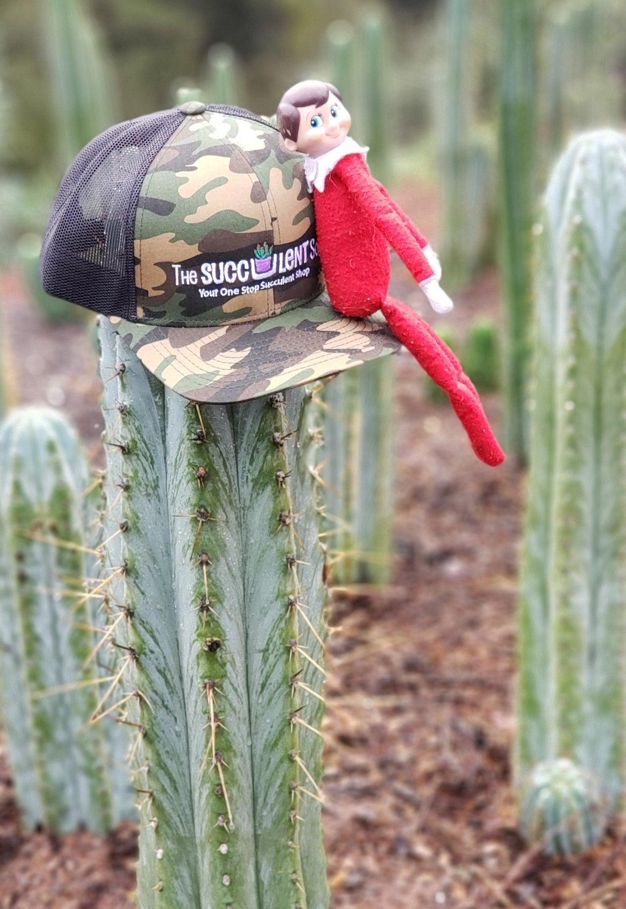 The Succulent Source Hat-Accessory-The Succulent Source