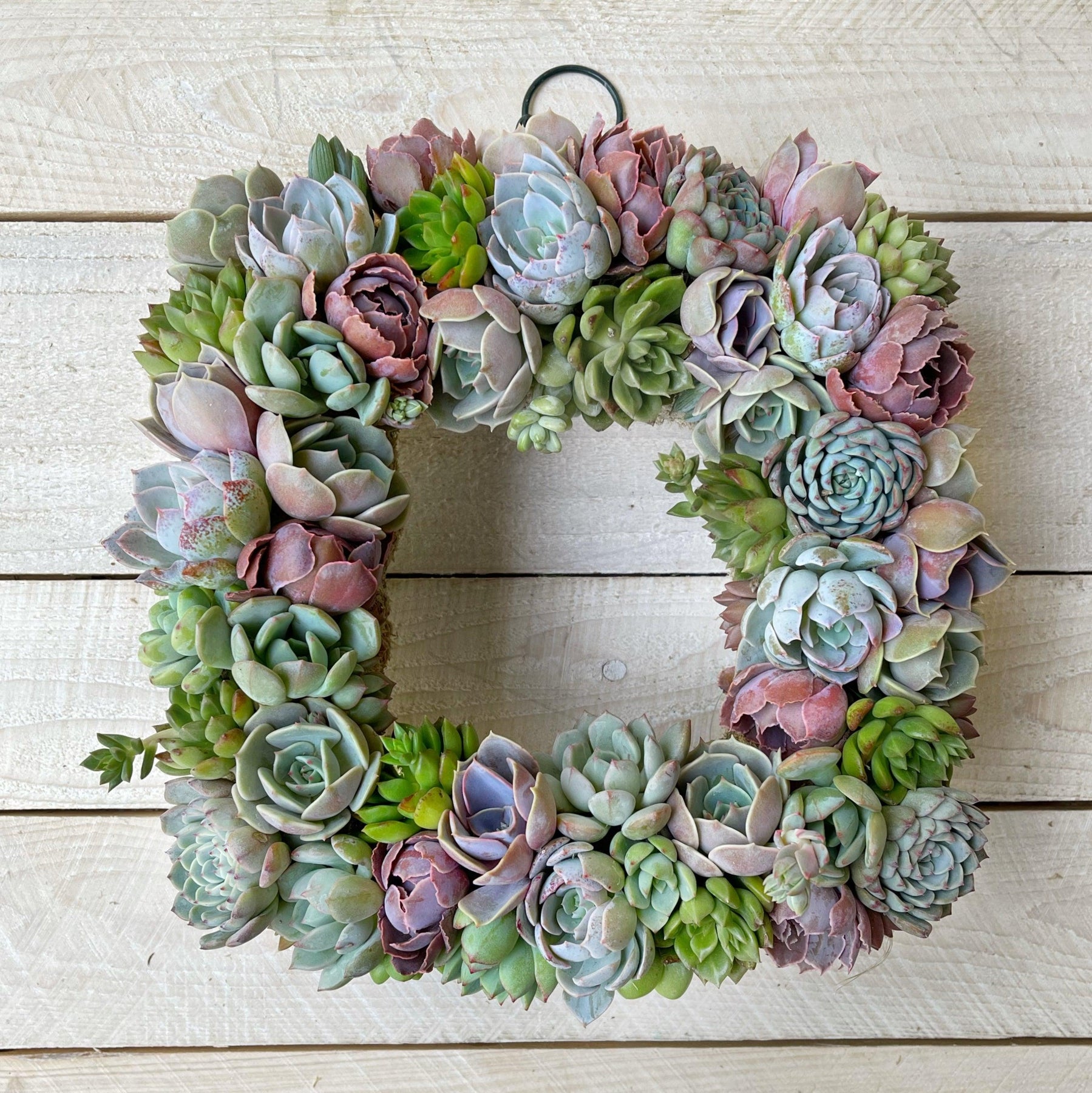 succulent wire wreath Succulent Arrangement