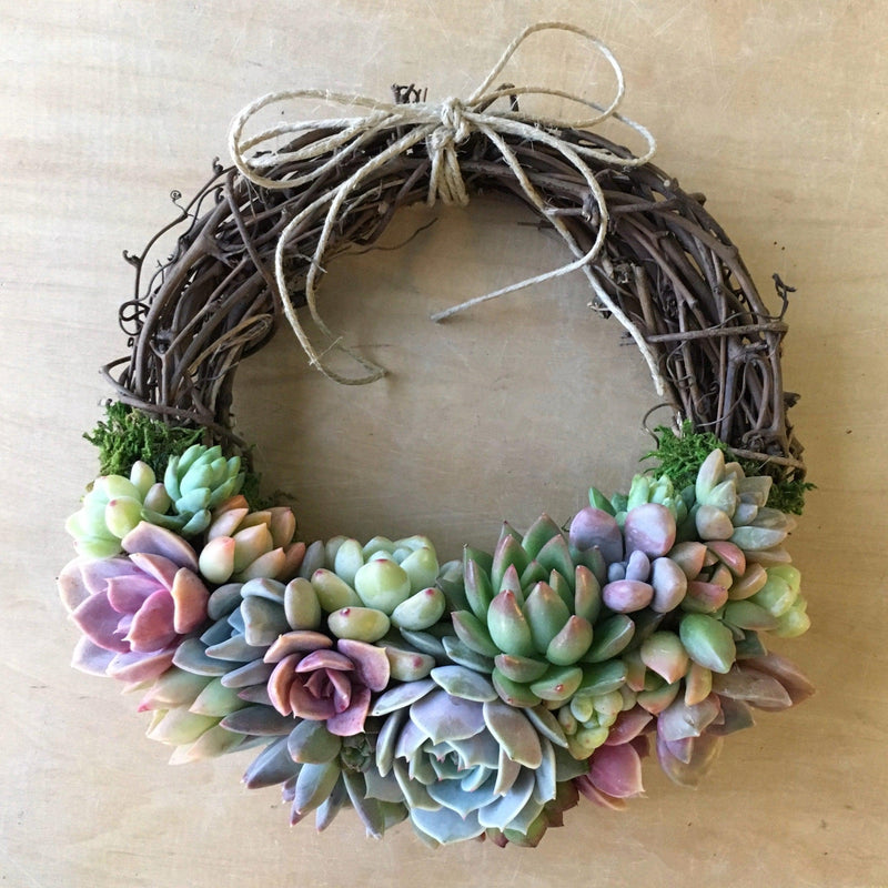 Lorelei Grapevine Wreath Trimmed With Succulents.