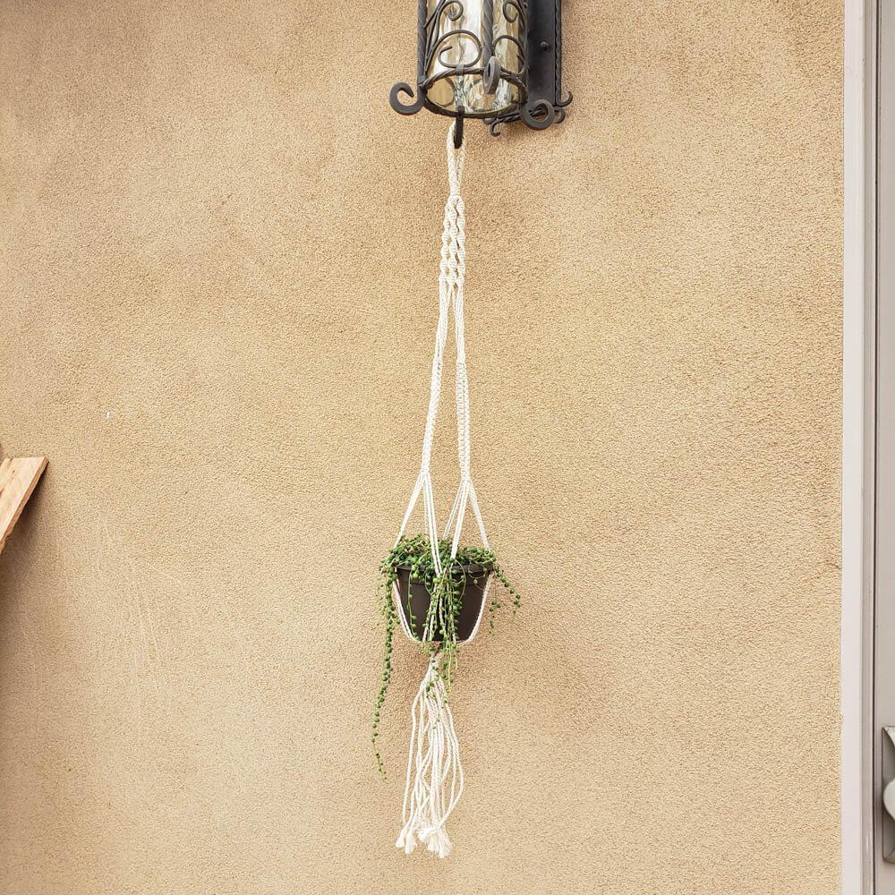 Macrame Hangers-Accessory-The Succulent Source