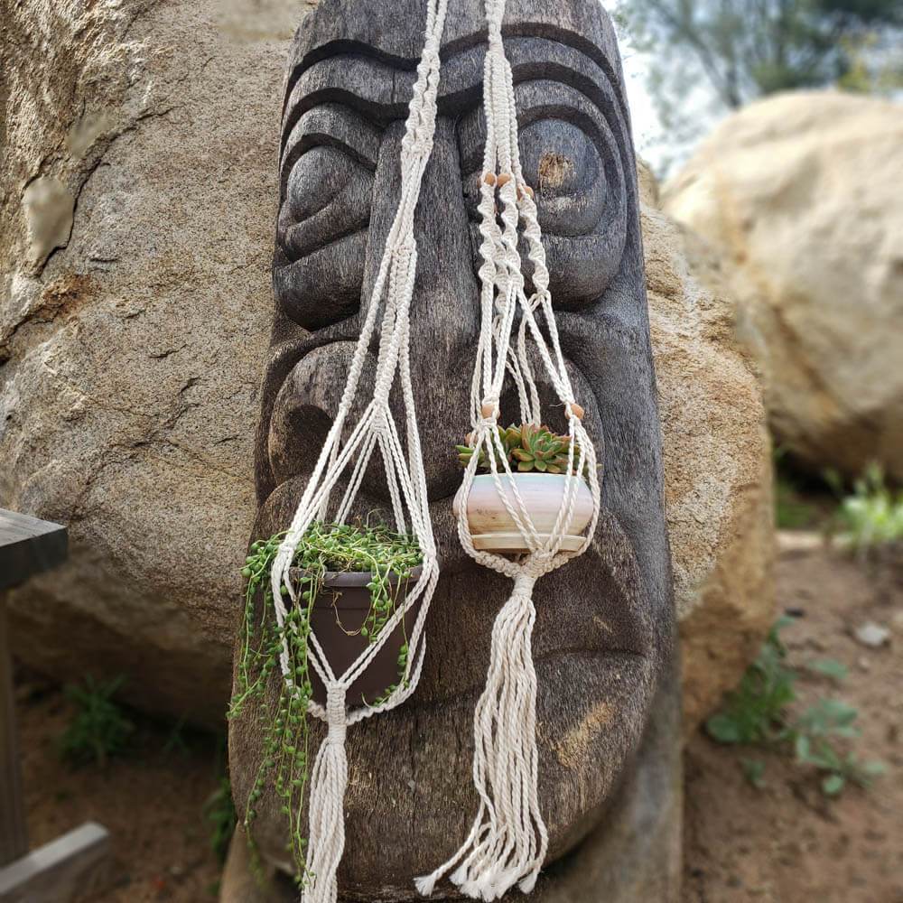 succulent plant hangers Macrame Hangers