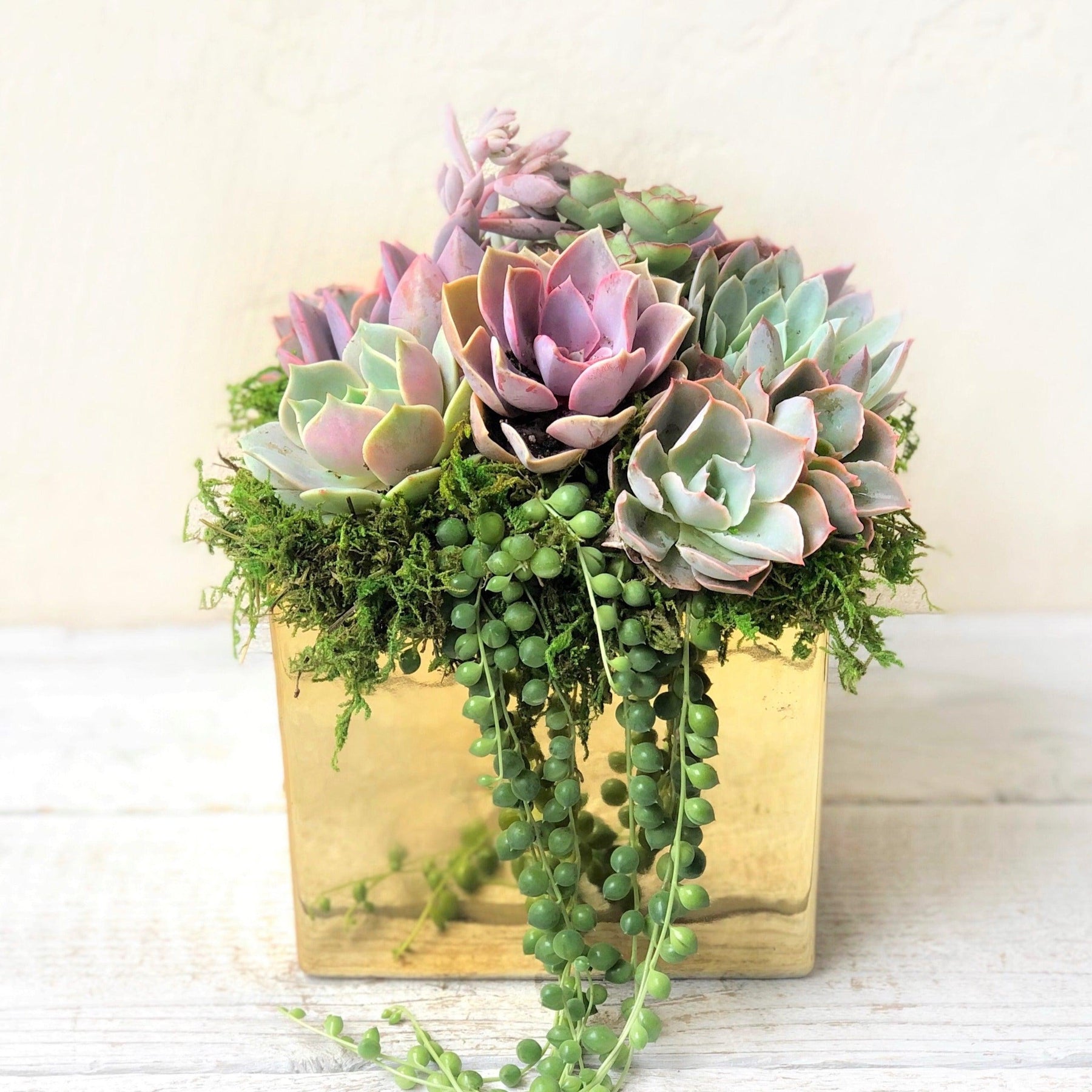 Metallic Glazed Ceramic Cube Planted with Colorful Succulents.