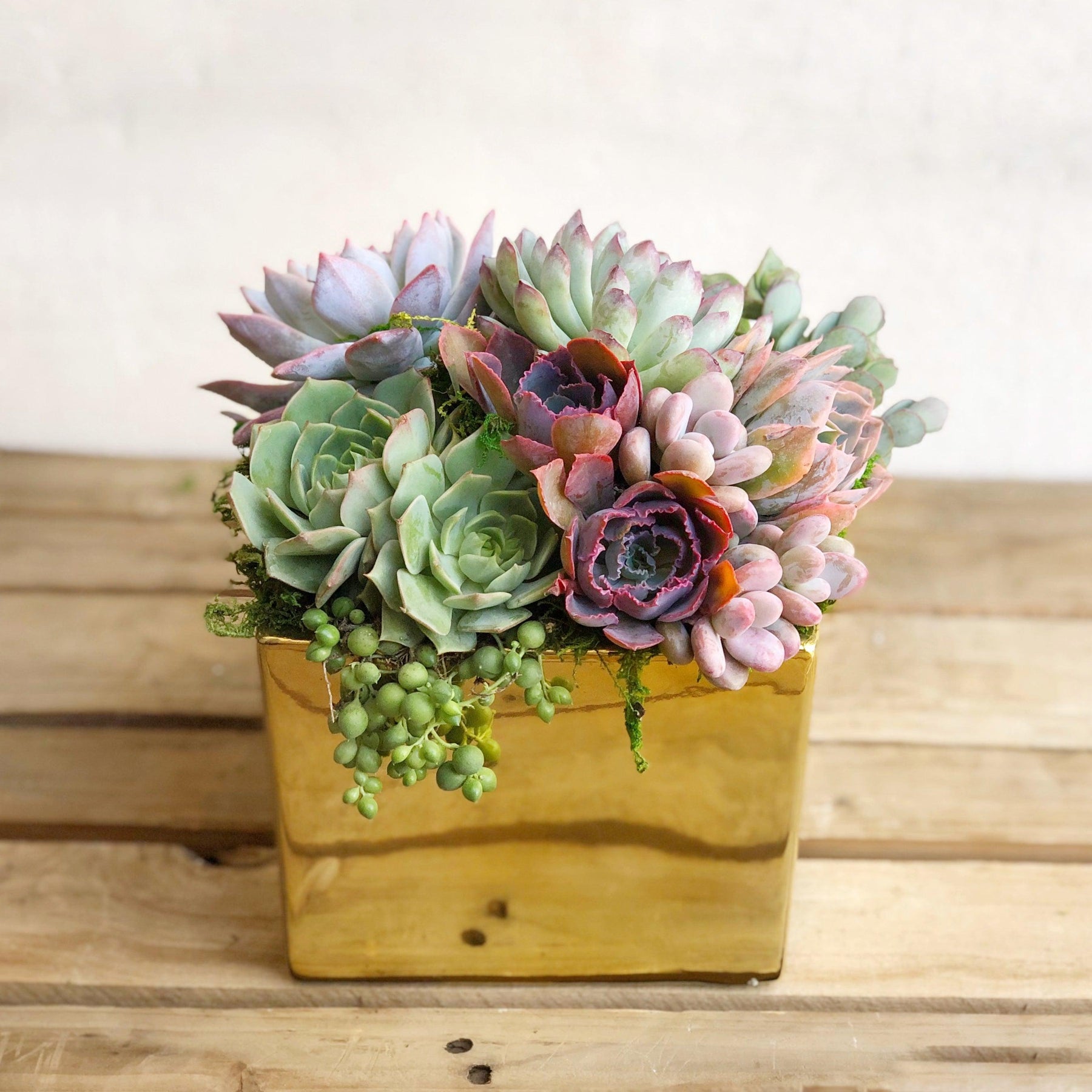 Metallic Glazed Ceramic Cube Planted with Colorful Succulents.