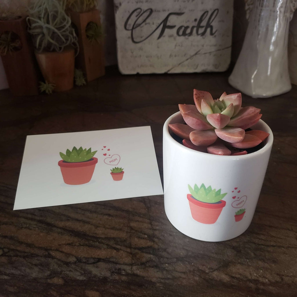 http://thesucculentsource.com/cdn/shop/products/Mothers-Love-Succulent-Pot-SayIt-Mothers-Day-Succulent-Gift-3_1024x.jpg?v=1674065313