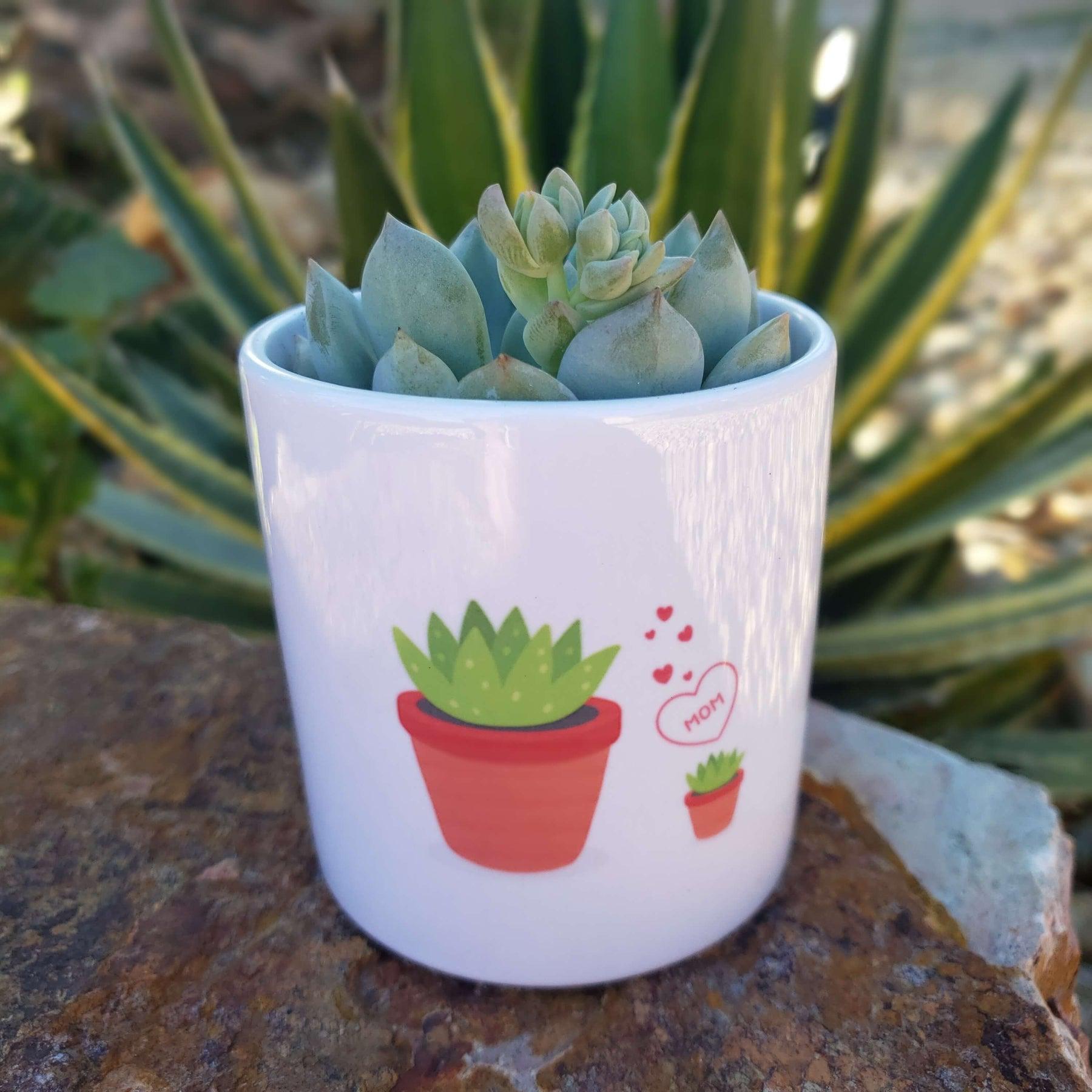 pound of love succulent Mother's Love Succulent Pot