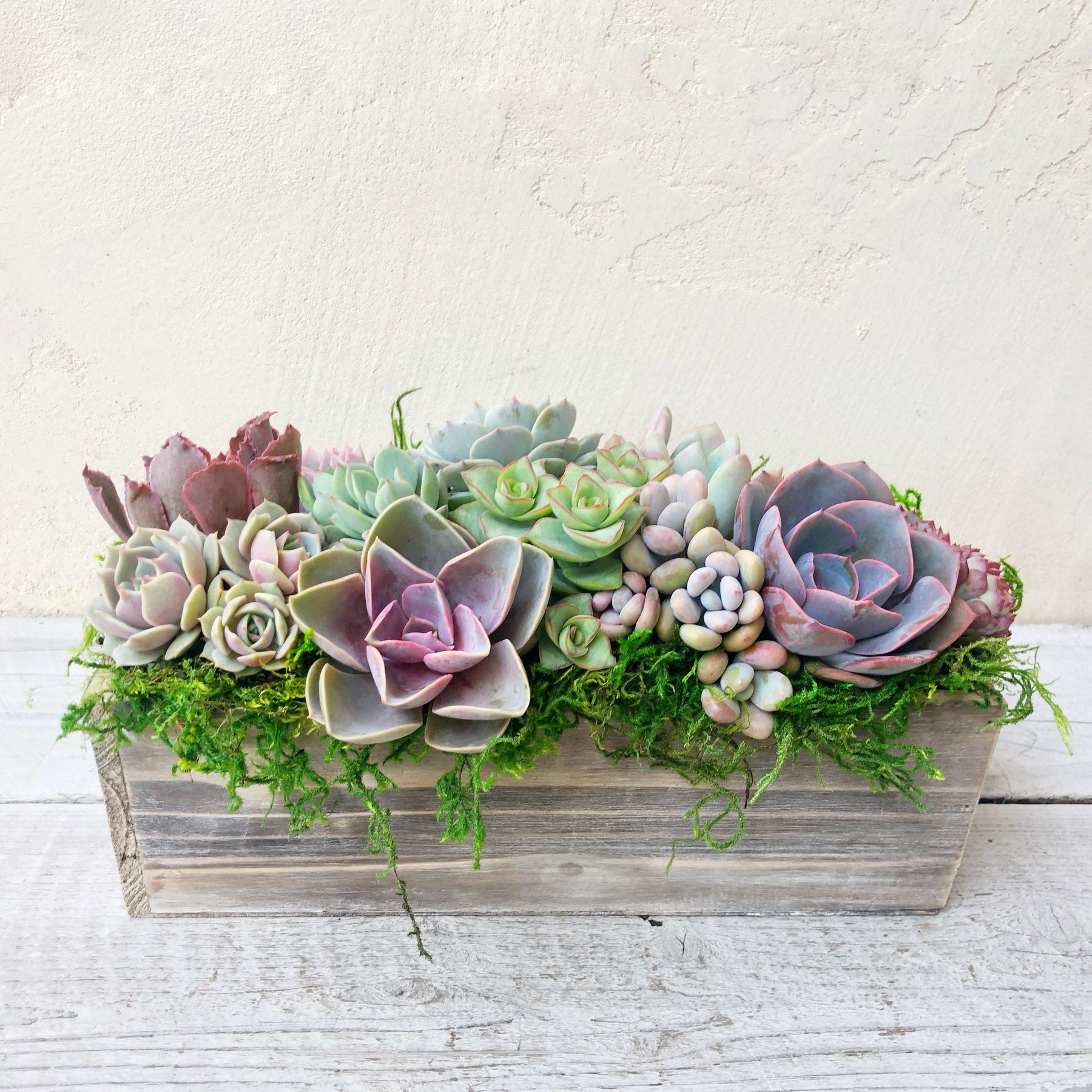 Napa Valley Planter.