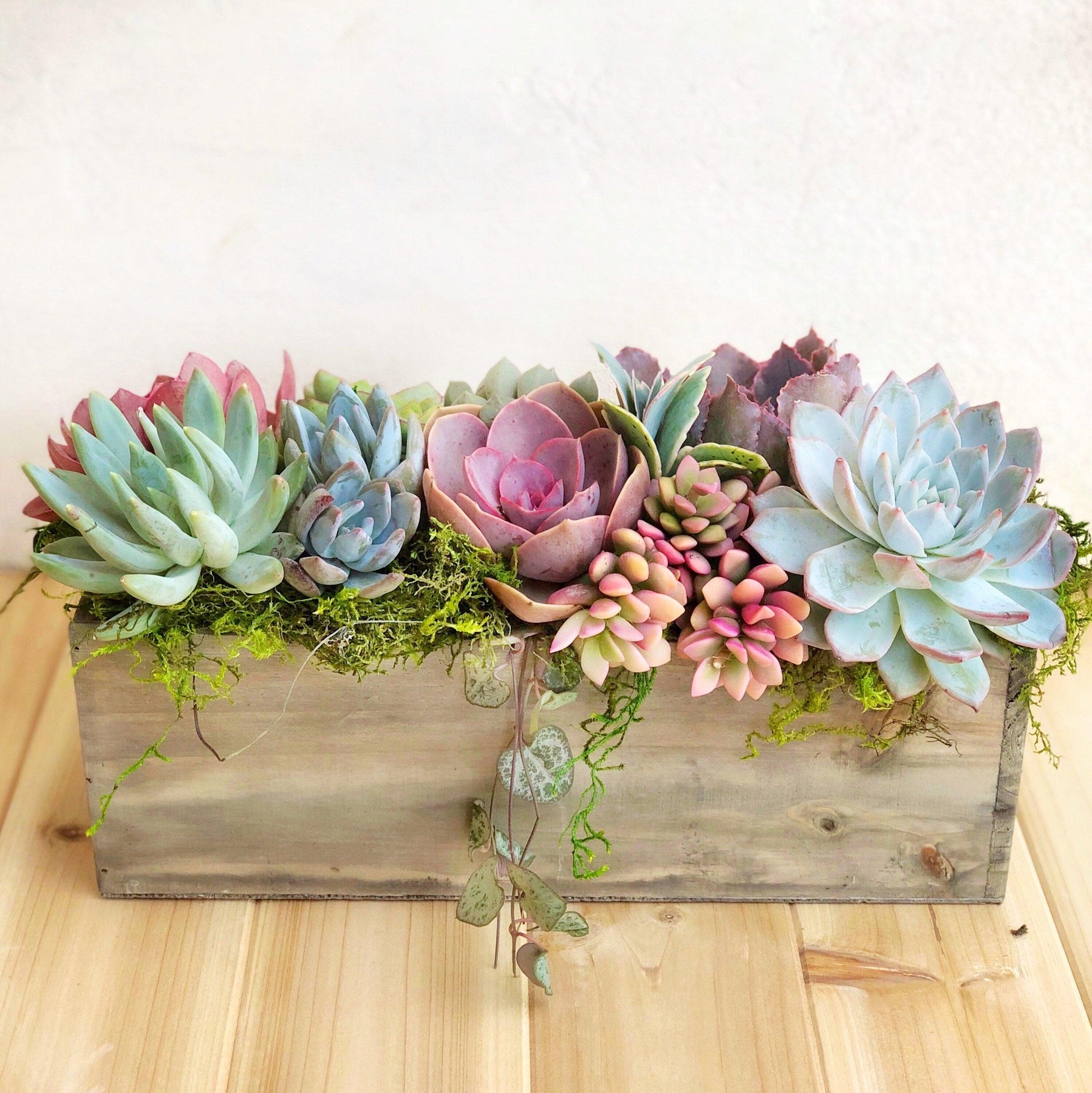 Napa Valley Planter.