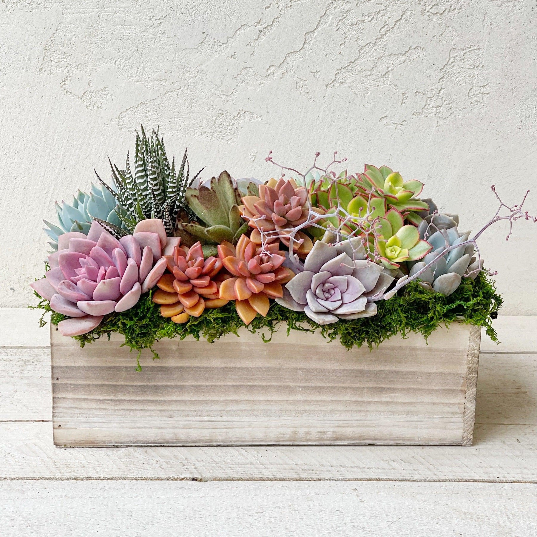 Napa Valley Planter.