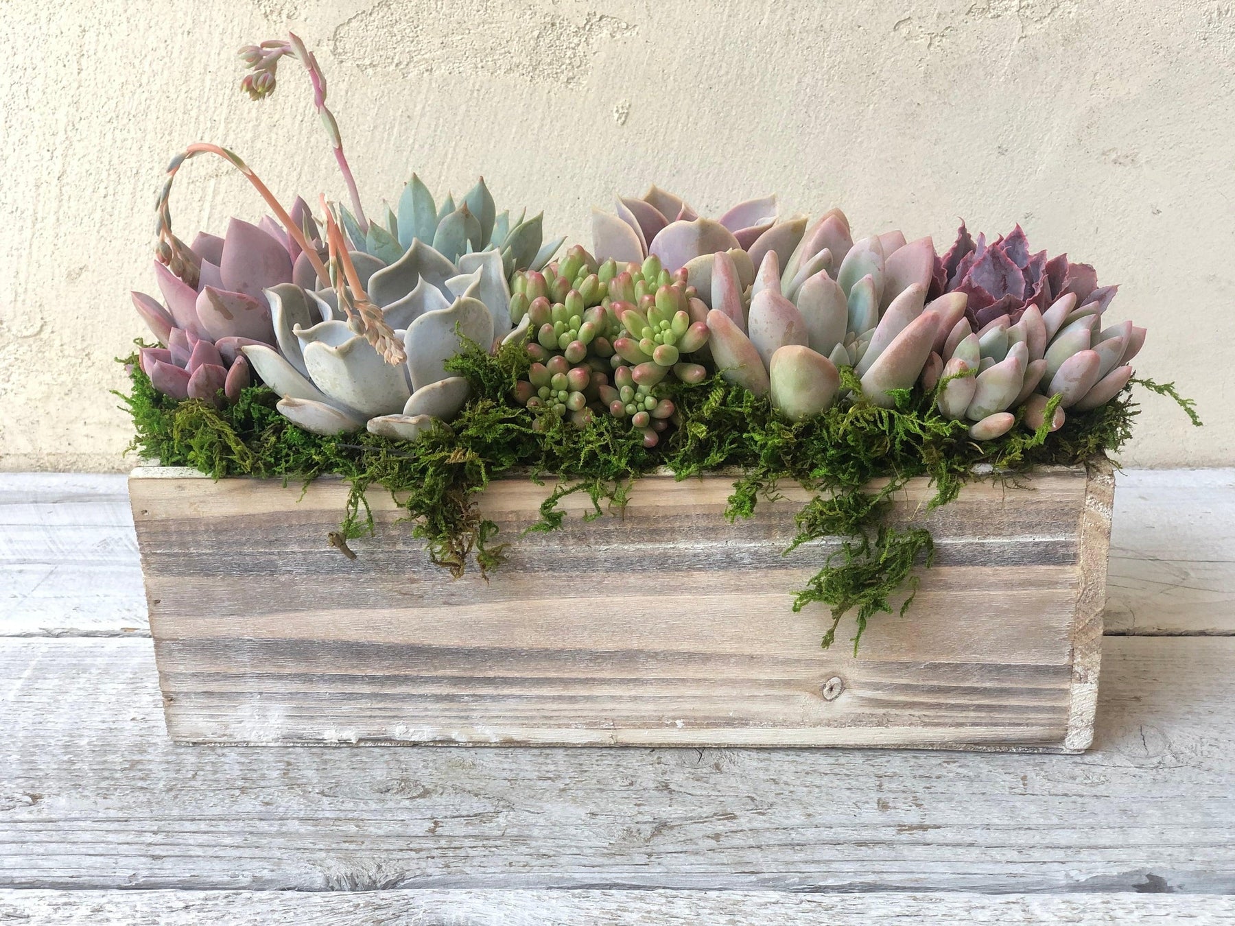 Napa Valley Planter.