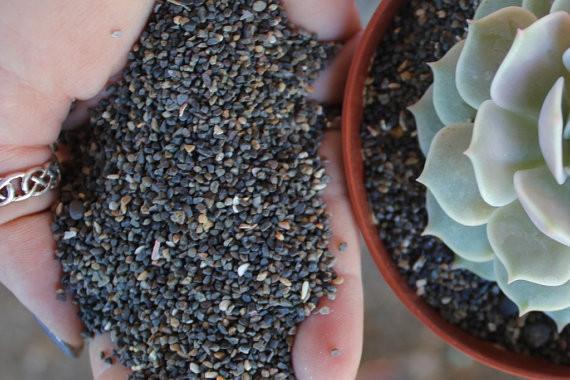 Colored Potting Gravel - Black Pearl or Salmon bulk wholesale succulent prices at the succulent source - 2