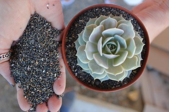 Potting Gravel 3 lbs