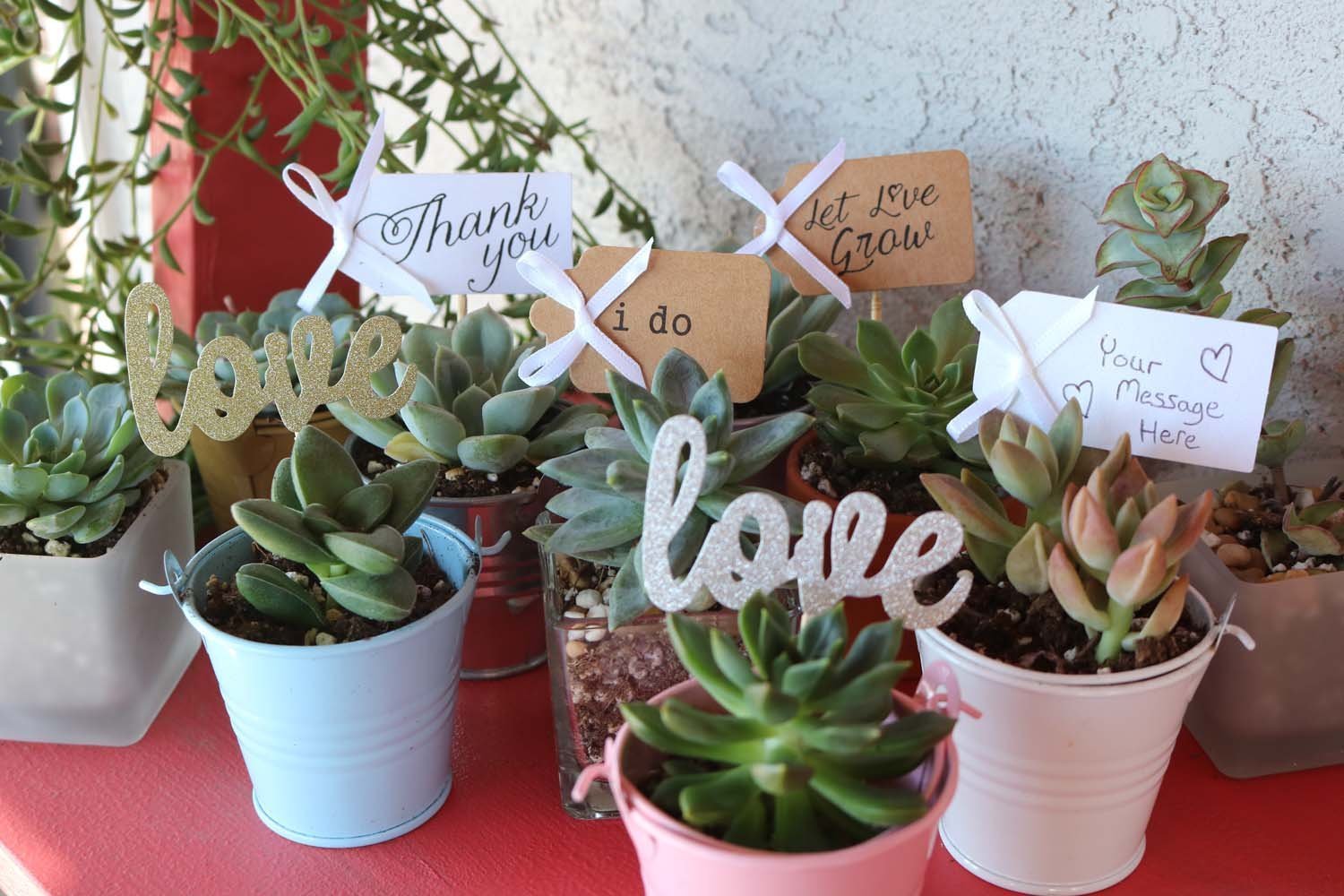 20 Favor Tags-Accessory-The Succulent Source
