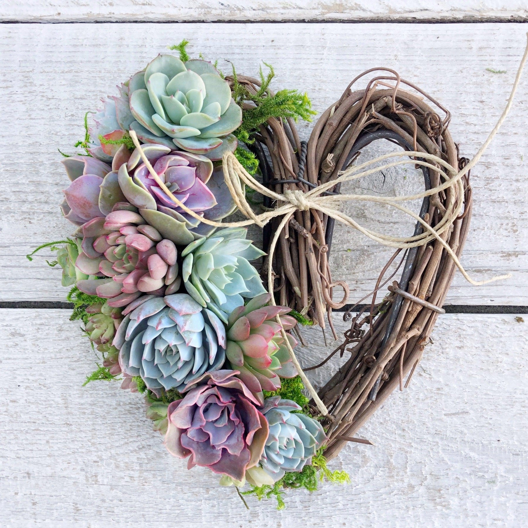 Sarah Succulent Trimmed Wreath.