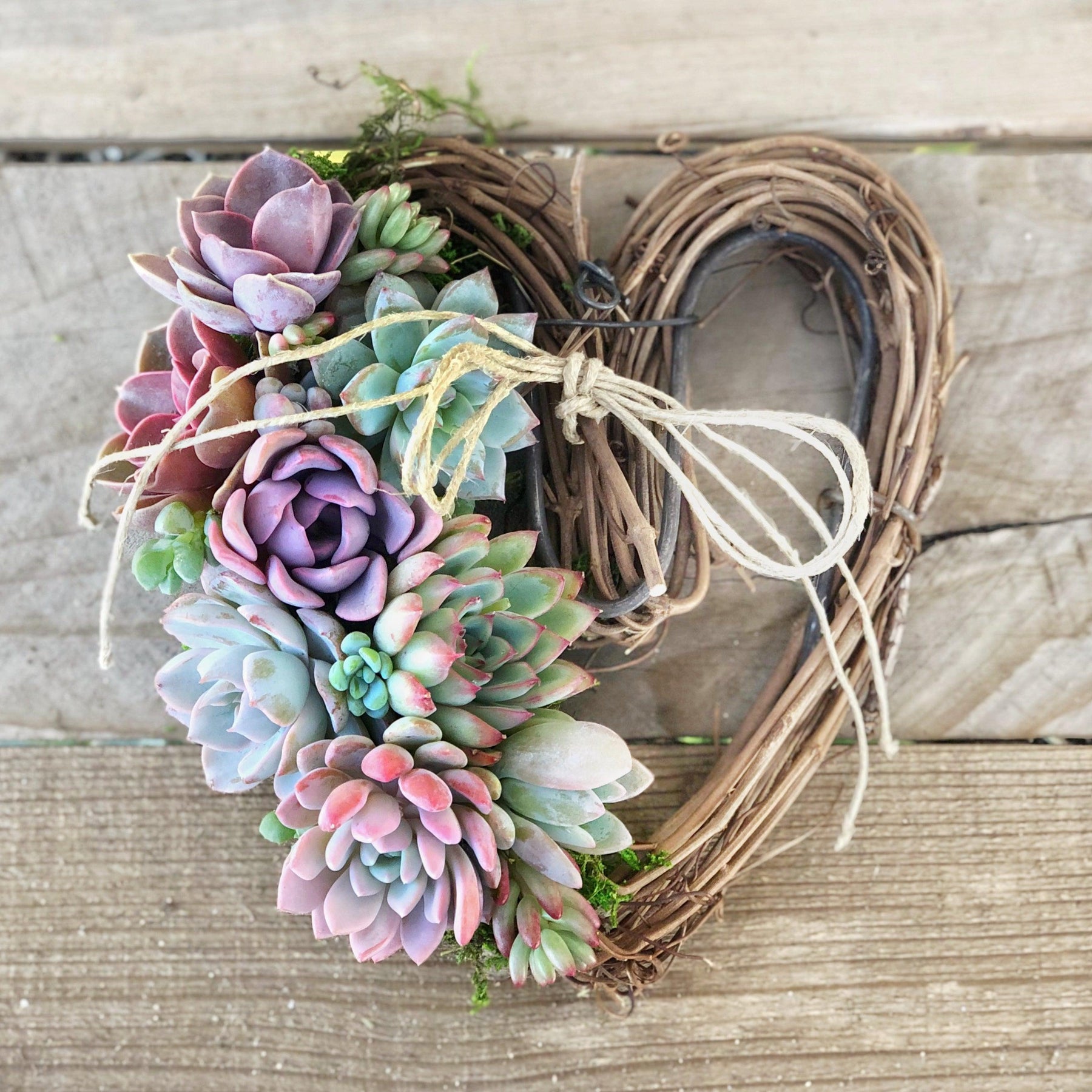 Sarah Succulent Trimmed Wreath.