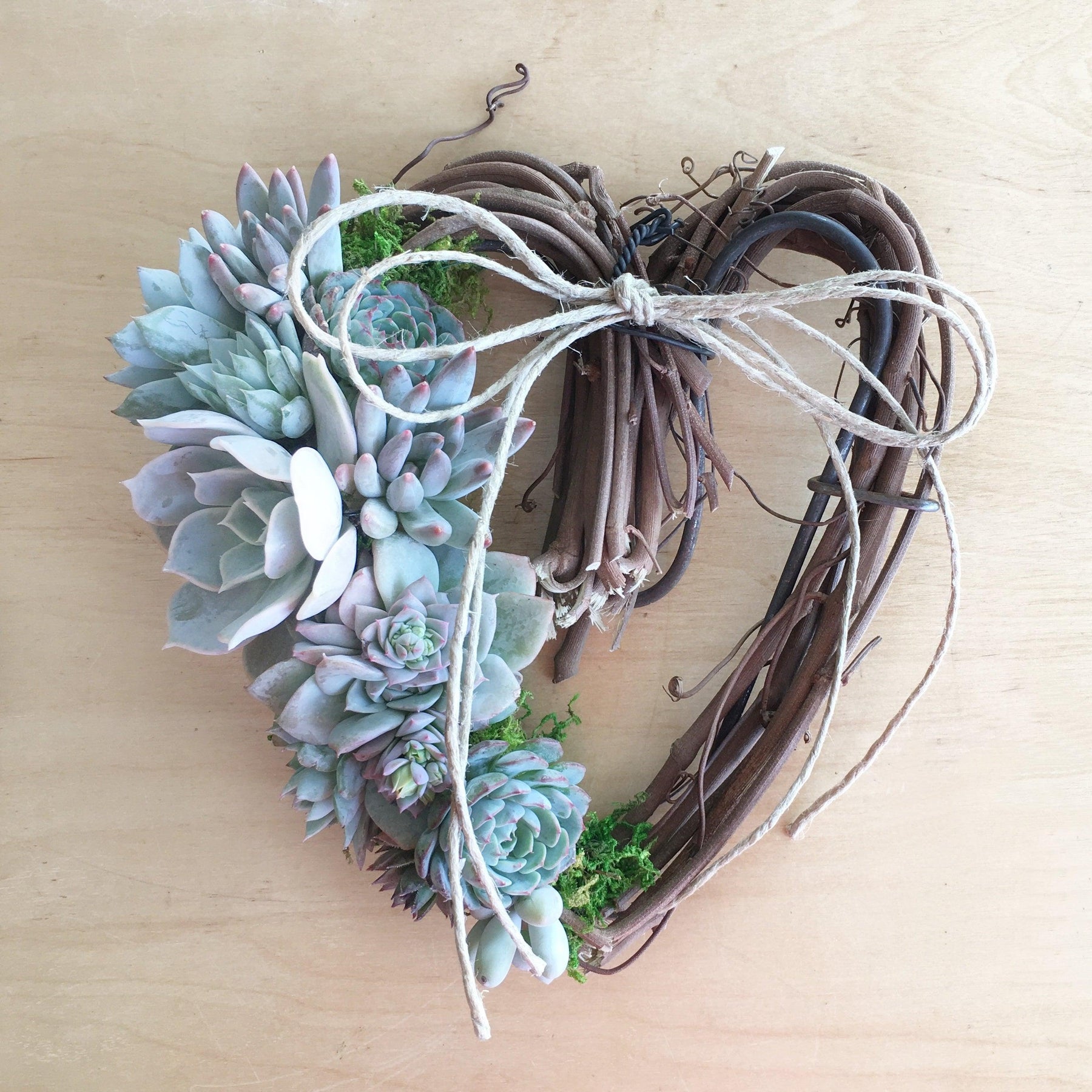 Sarah Succulent Trimmed Wreath.