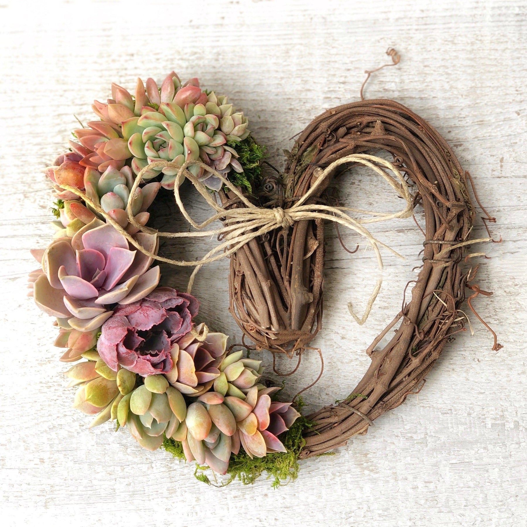 Sarah Succulent Trimmed Wreath.