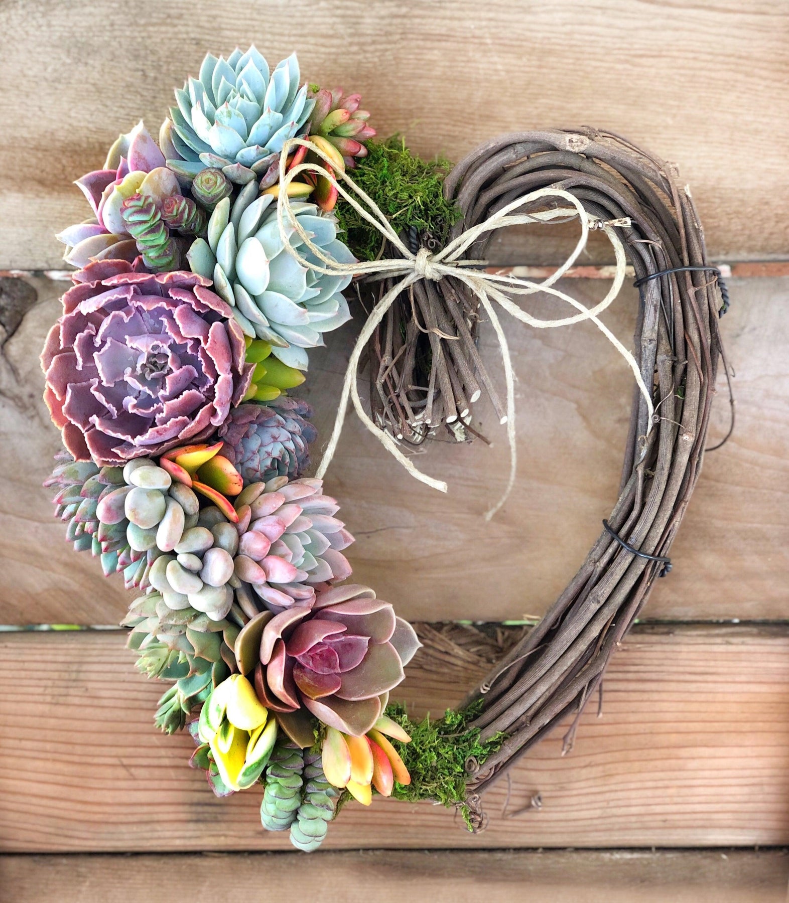 Sarah Succulent Trimmed Wreath.