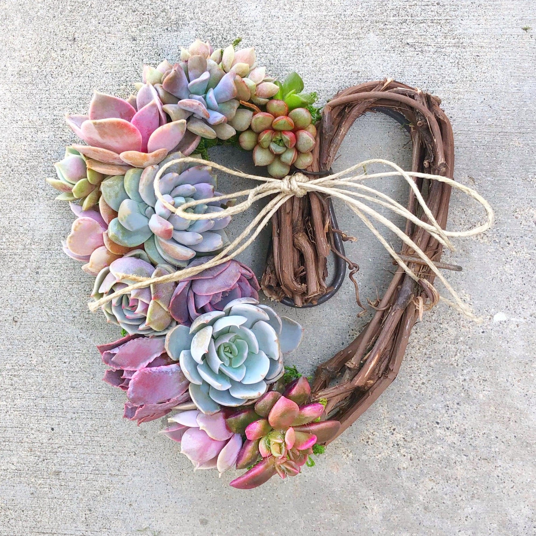 Sarah Succulent Trimmed Wreath.
