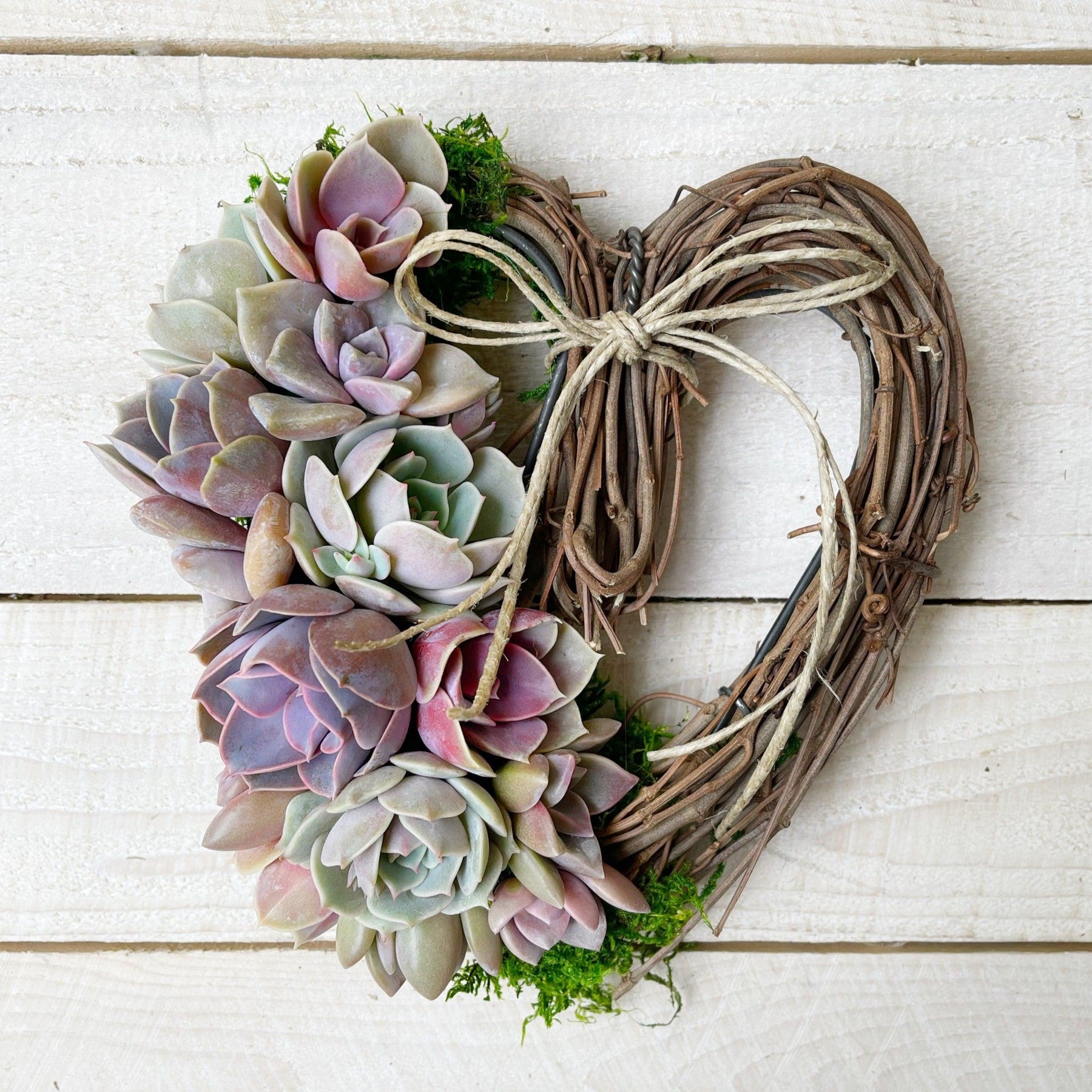 Sarah Succulent Trimmed Wreath.