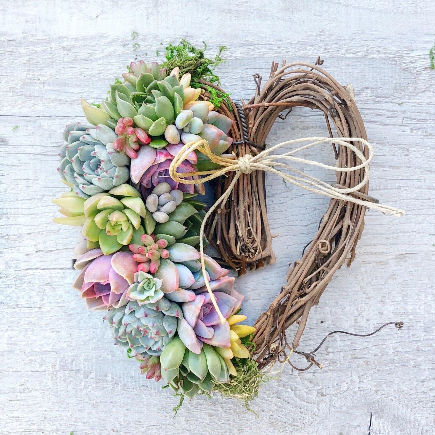 Sarah Succulent Trimmed Wreath.