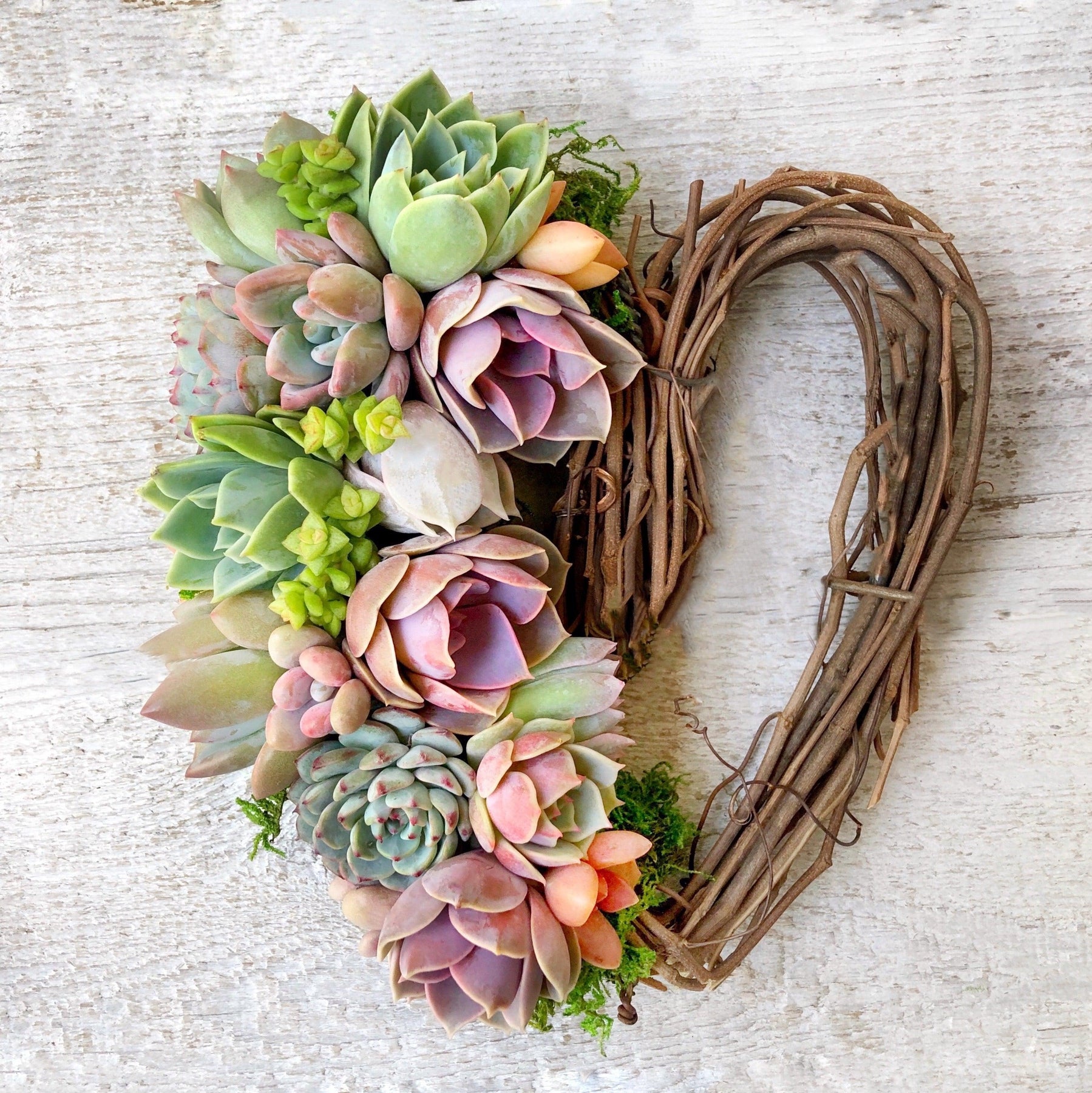 Sarah Succulent Trimmed Wreath.