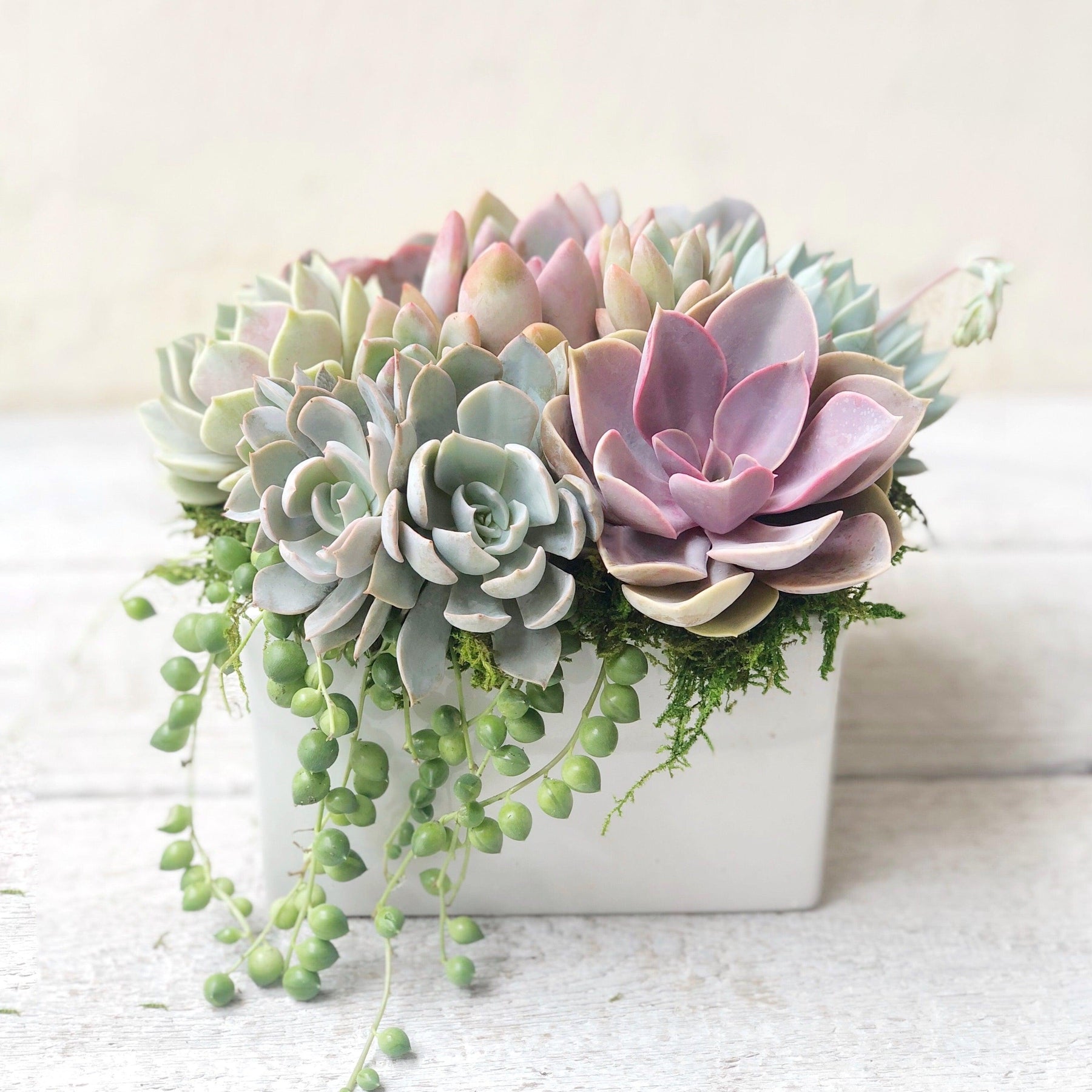 Simply Classic Ceramic Planter.