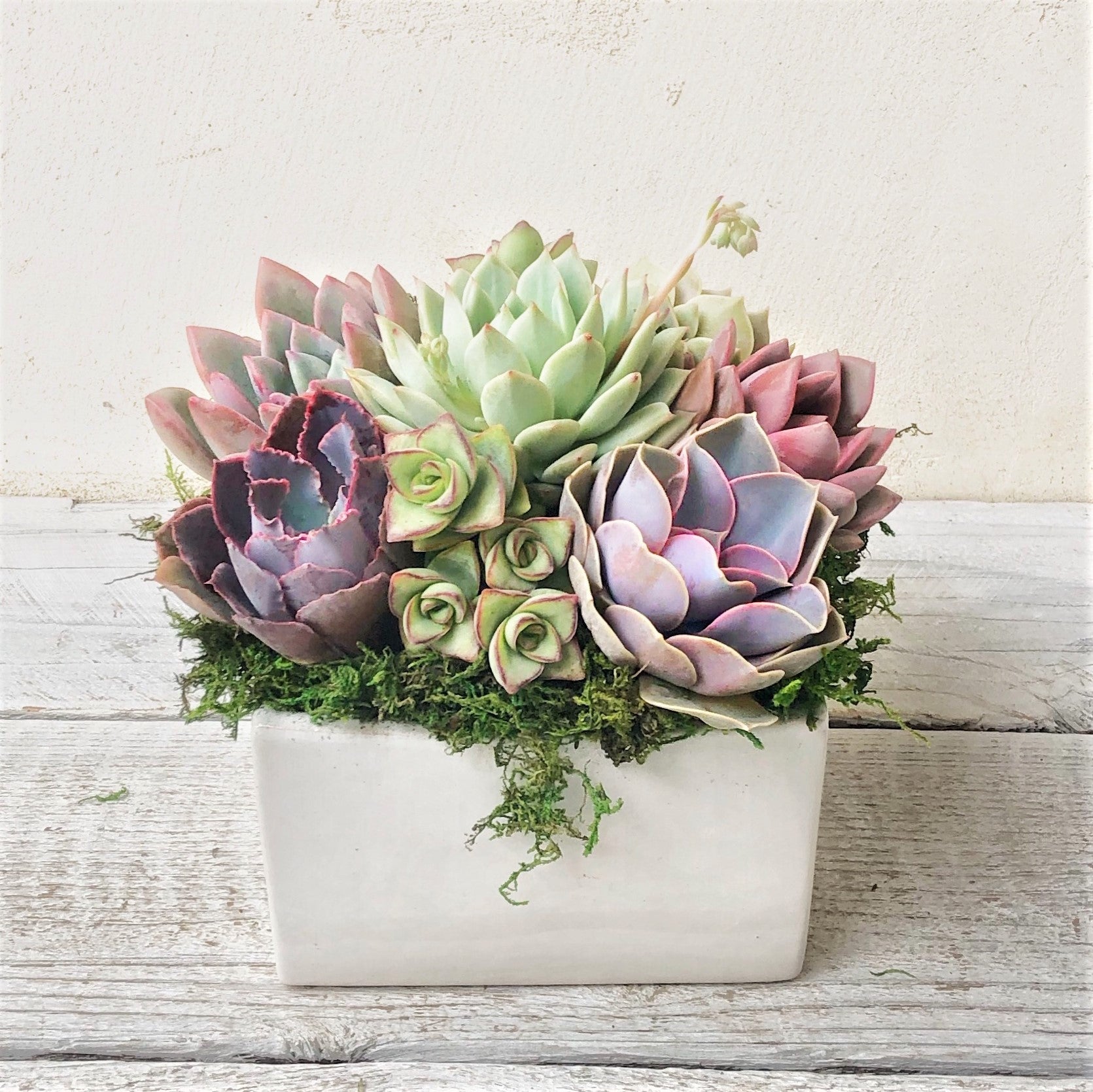 Simply Classic Ceramic Planter.