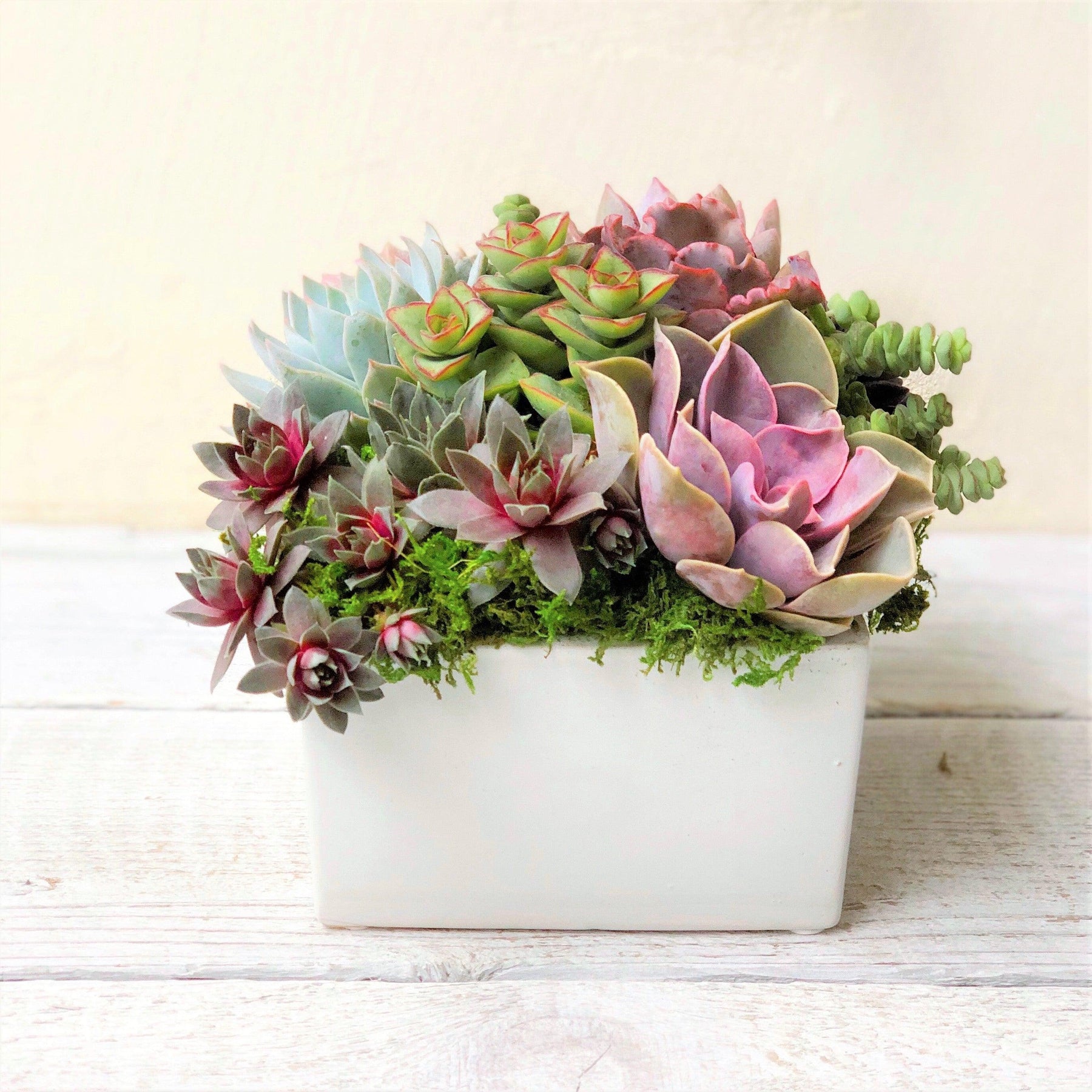 Simply Classic Ceramic Planter.