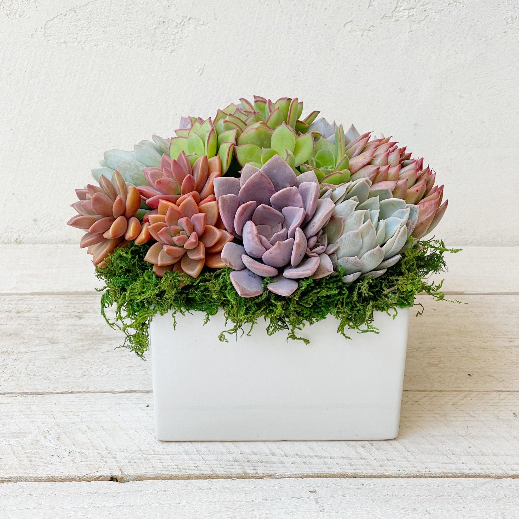 Simply Classic Ceramic Planter.