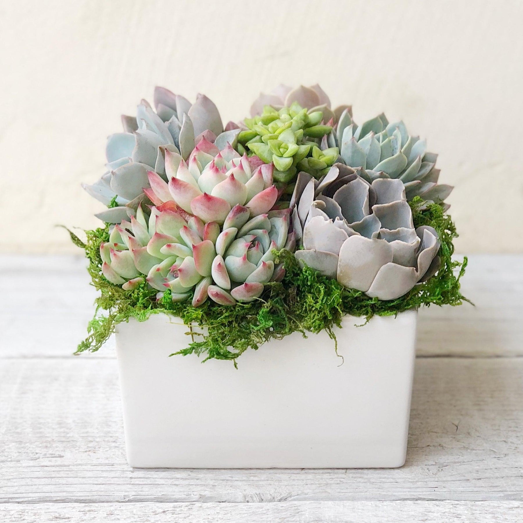 Simply Classic Ceramic Planter.