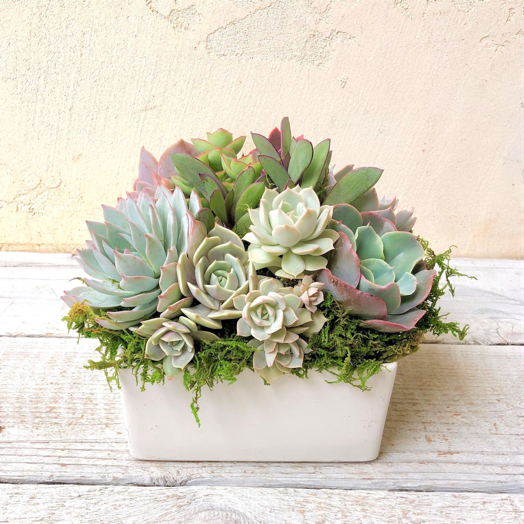 Simply Classic Ceramic Planter.