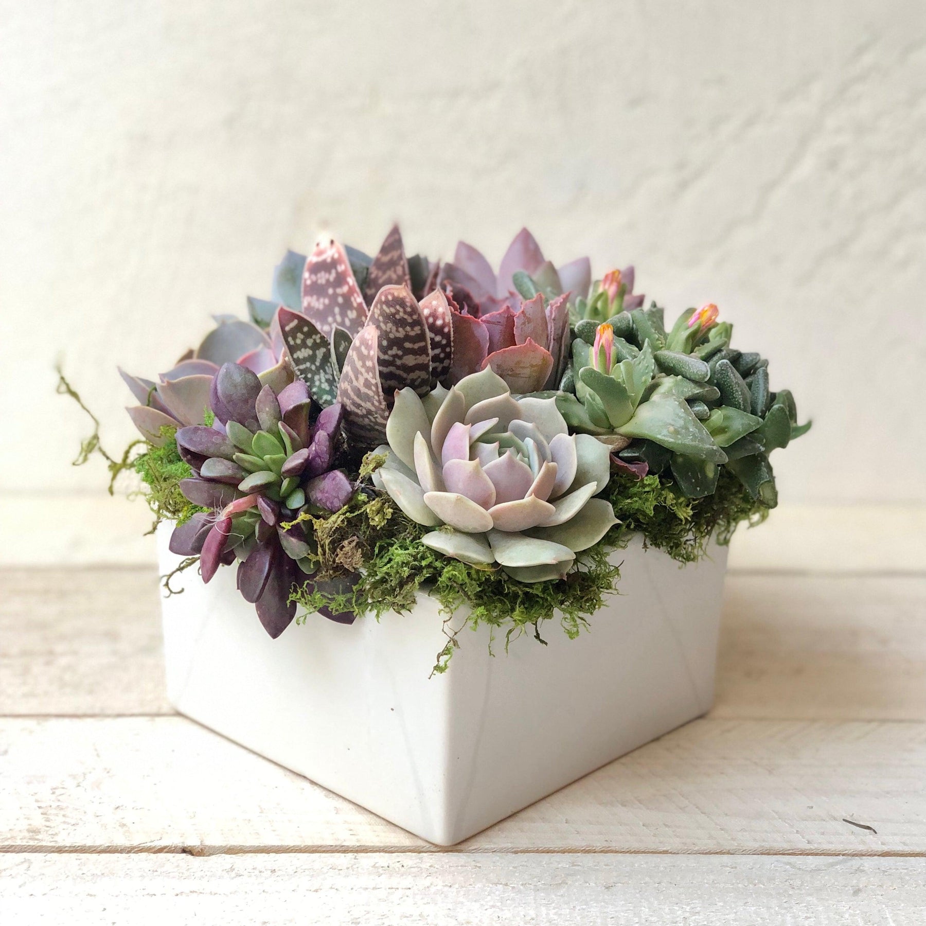 Simply Classic Ceramic Planter.