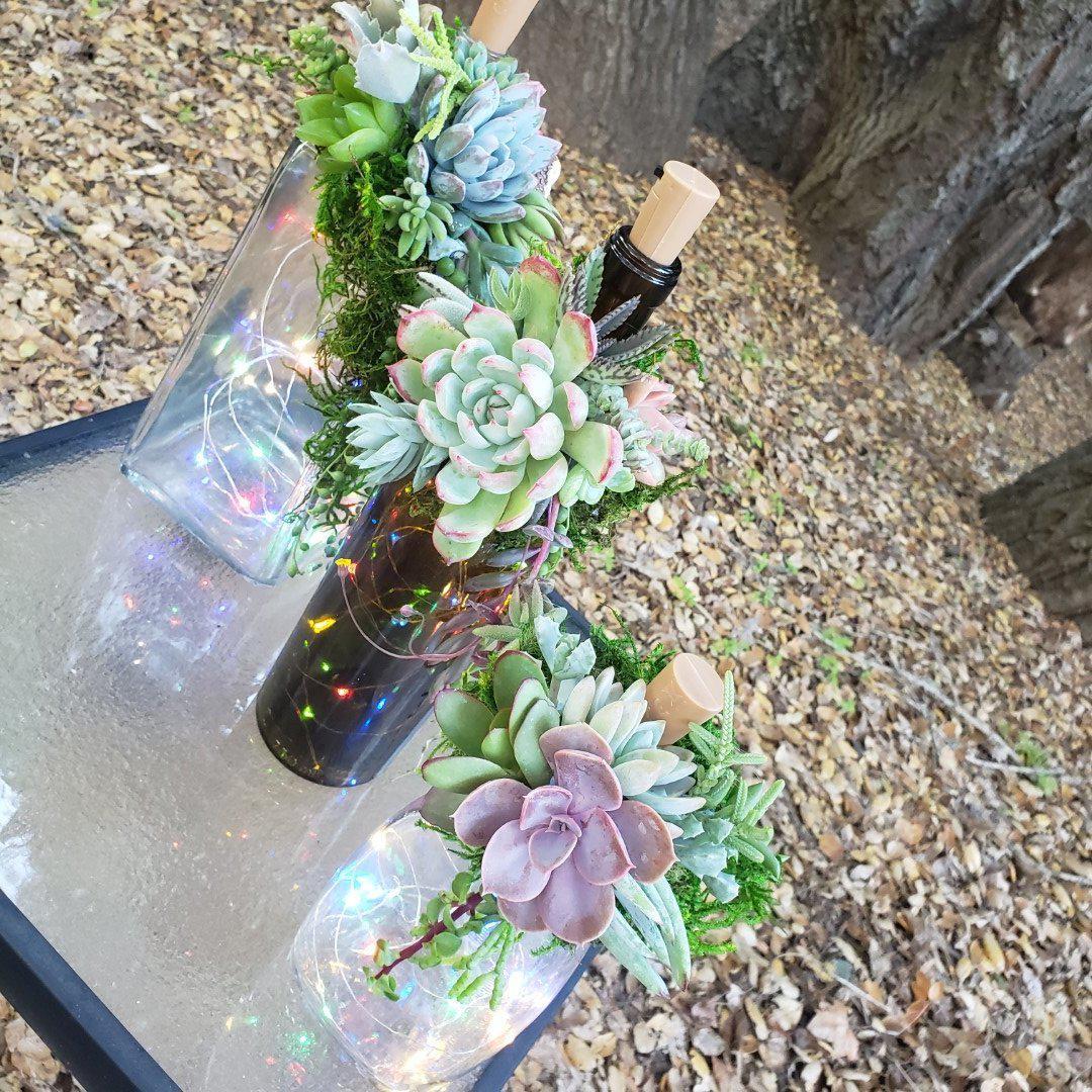 Succulent Christmas Decor "Everything but the Booze"-Succulent - Cutting-The Succulent Source