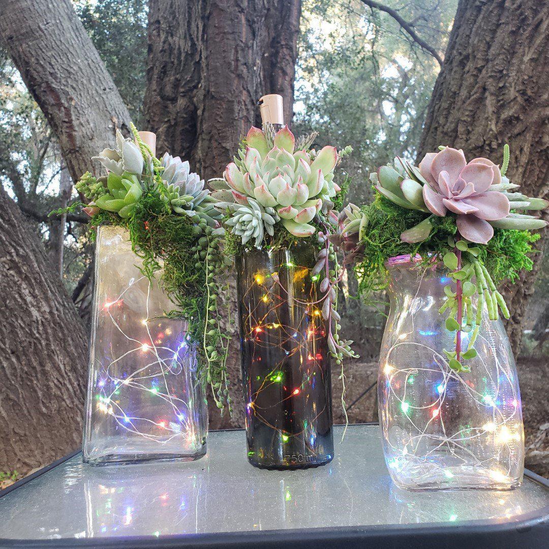 everything succulent Succulent Christmas Decor Everything but the Booze