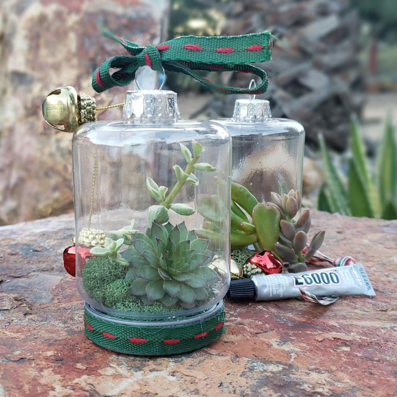 Succulent Christmas Ornament: 