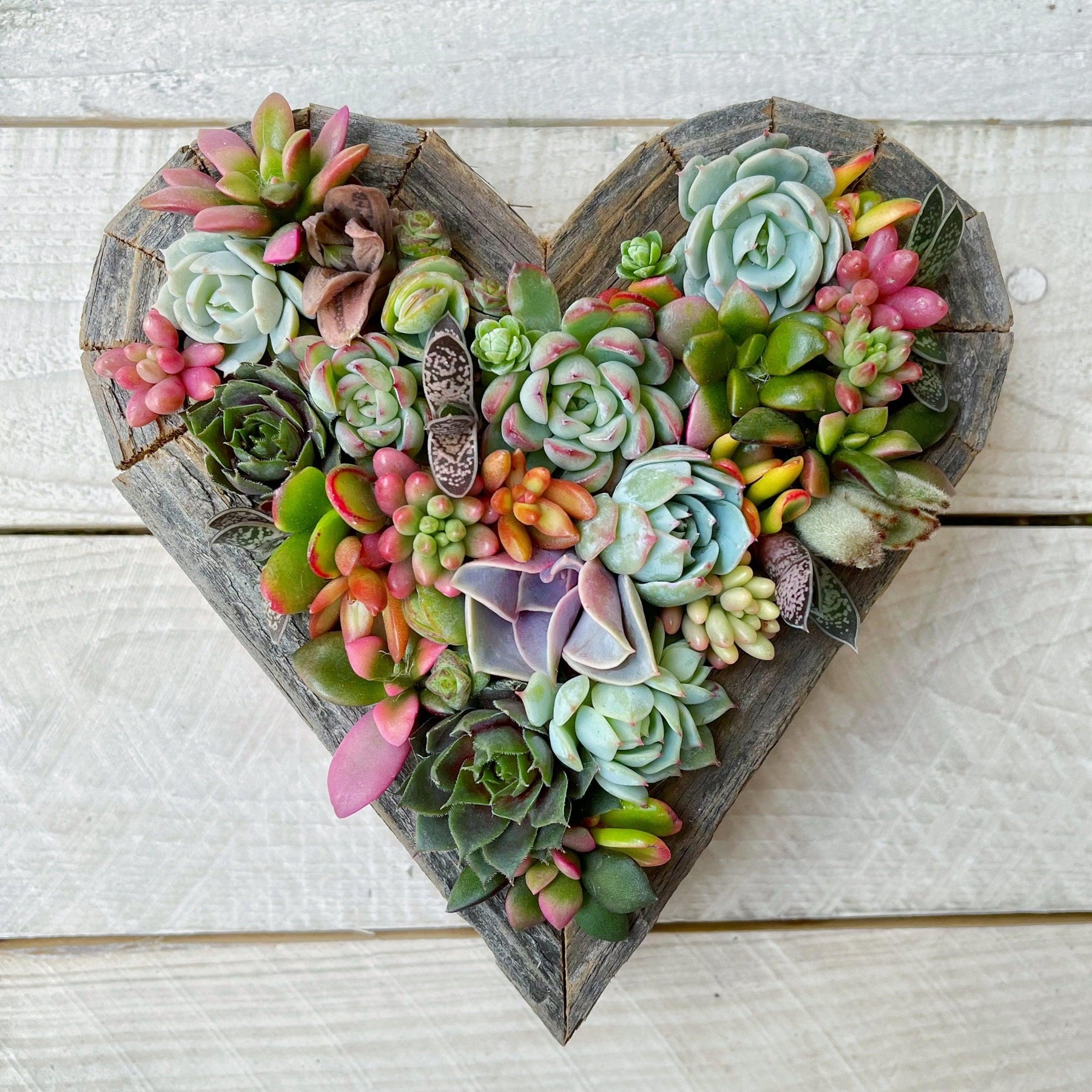 Succulent Heart-Shaped Vertical Garden.