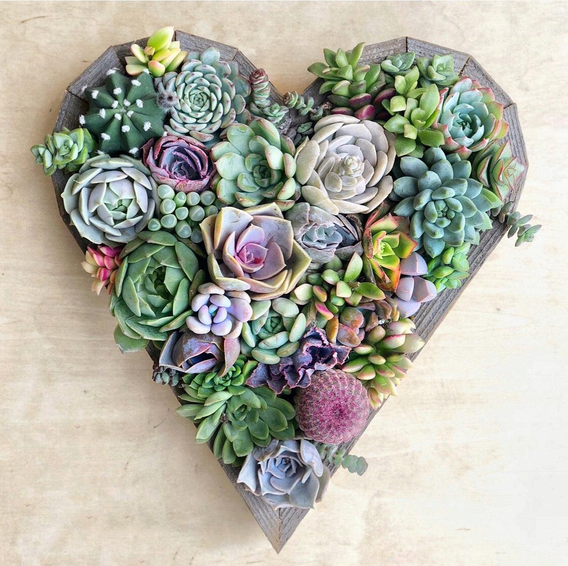 Succulent Heart-Shaped Vertical Garden.