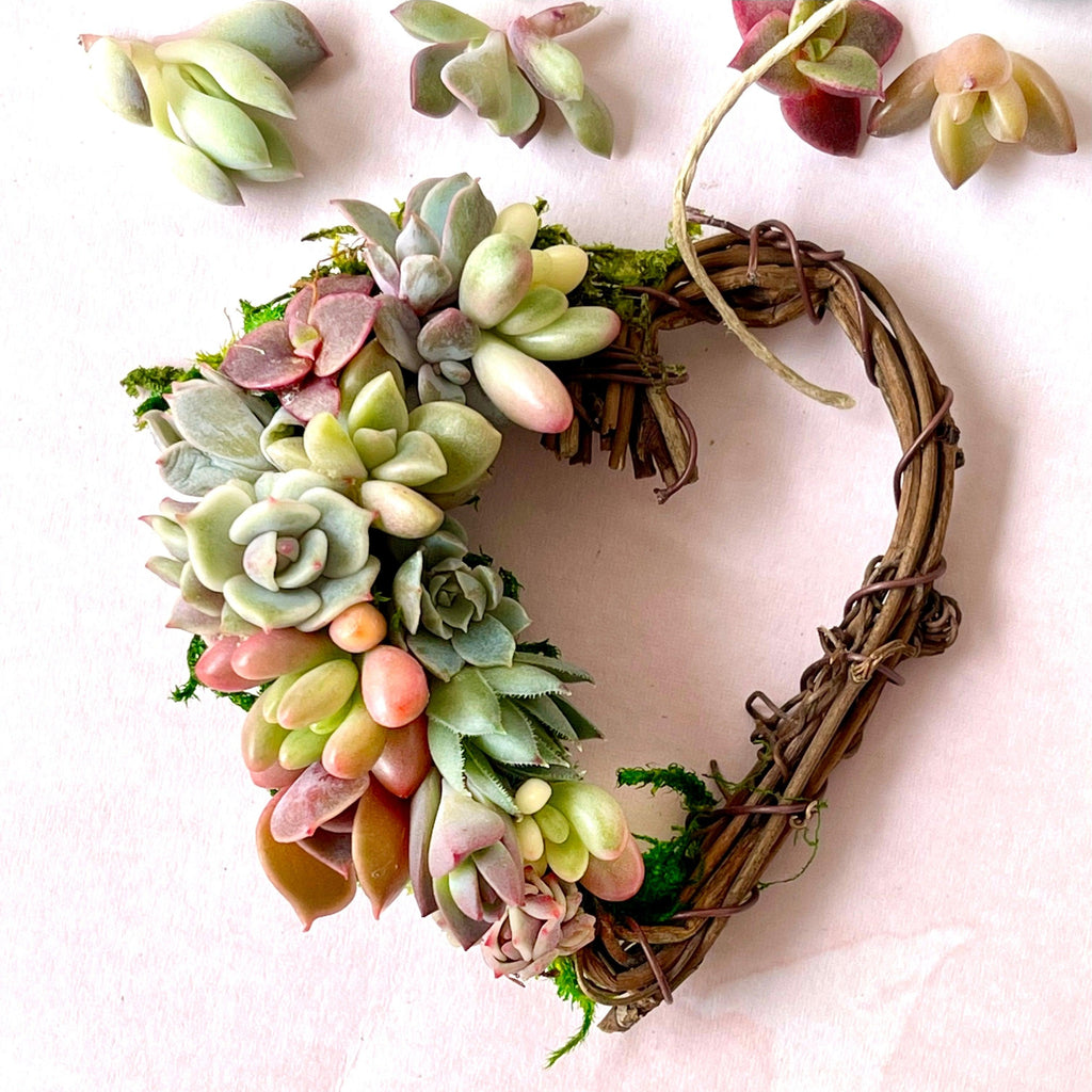 Angelique Heart-Shaped Succulent Wreath - Wedding Succulent Favors