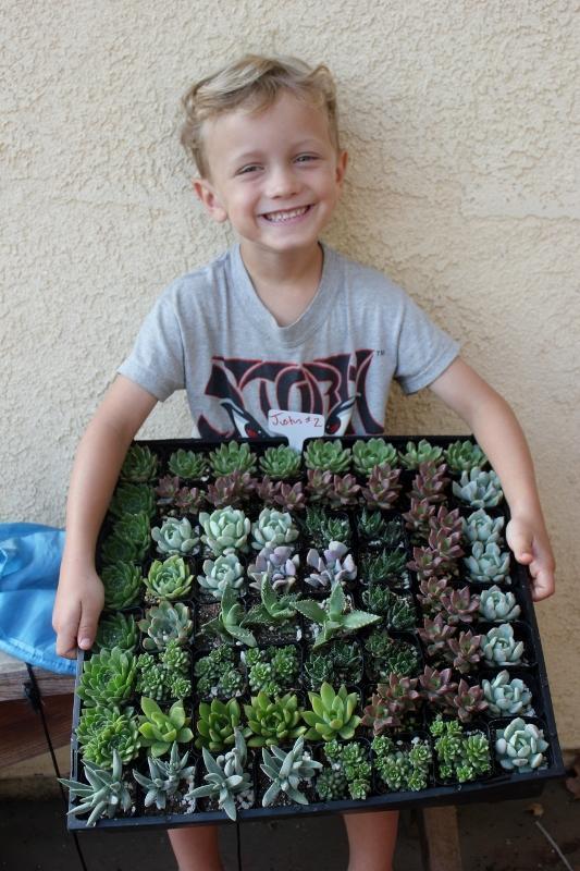 Succulents (EXACT) hand picked by Justus & Beau-Succulent - Small-The Succulent Source