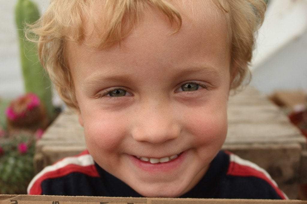 Succulents (EXACT) hand picked by Justus & Beau-Succulent - Small-The Succulent Source