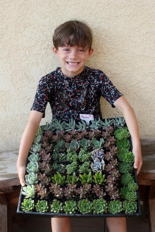 Succulents (EXACT) by Beau-Succulent - Small-The Succulent Source