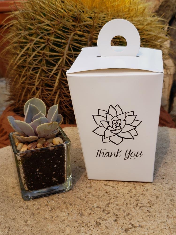Guest Travel Box - To Go Box-Accessory-The Succulent Source