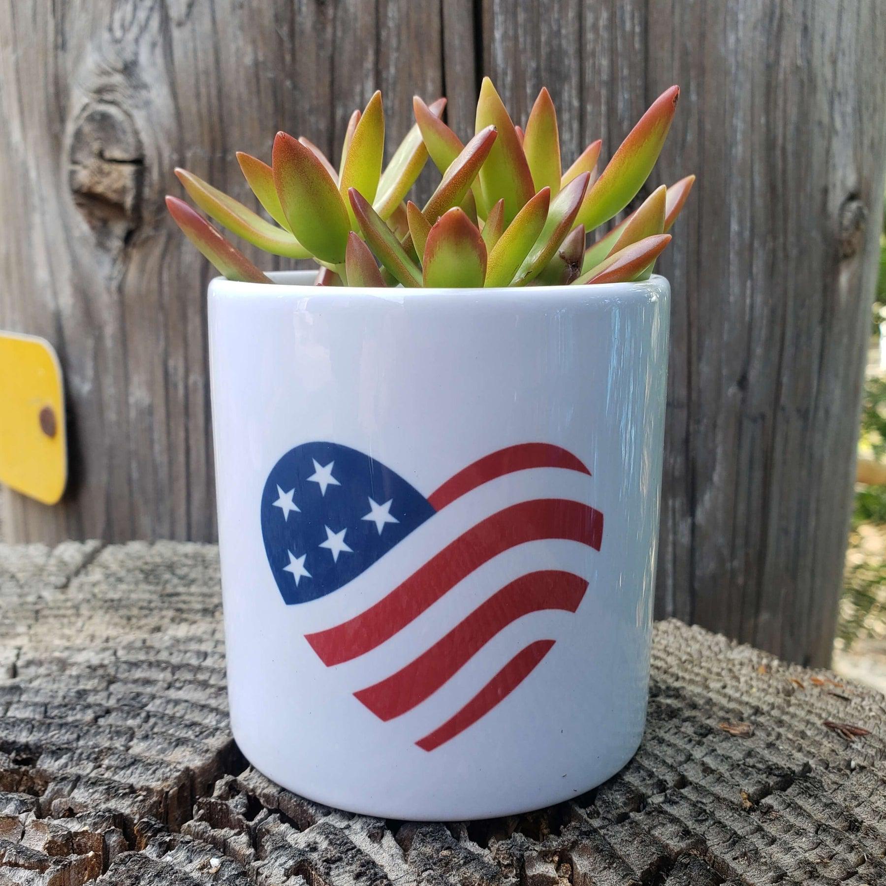USA Flag Succulent Pot-SayIt-The Succulent Source