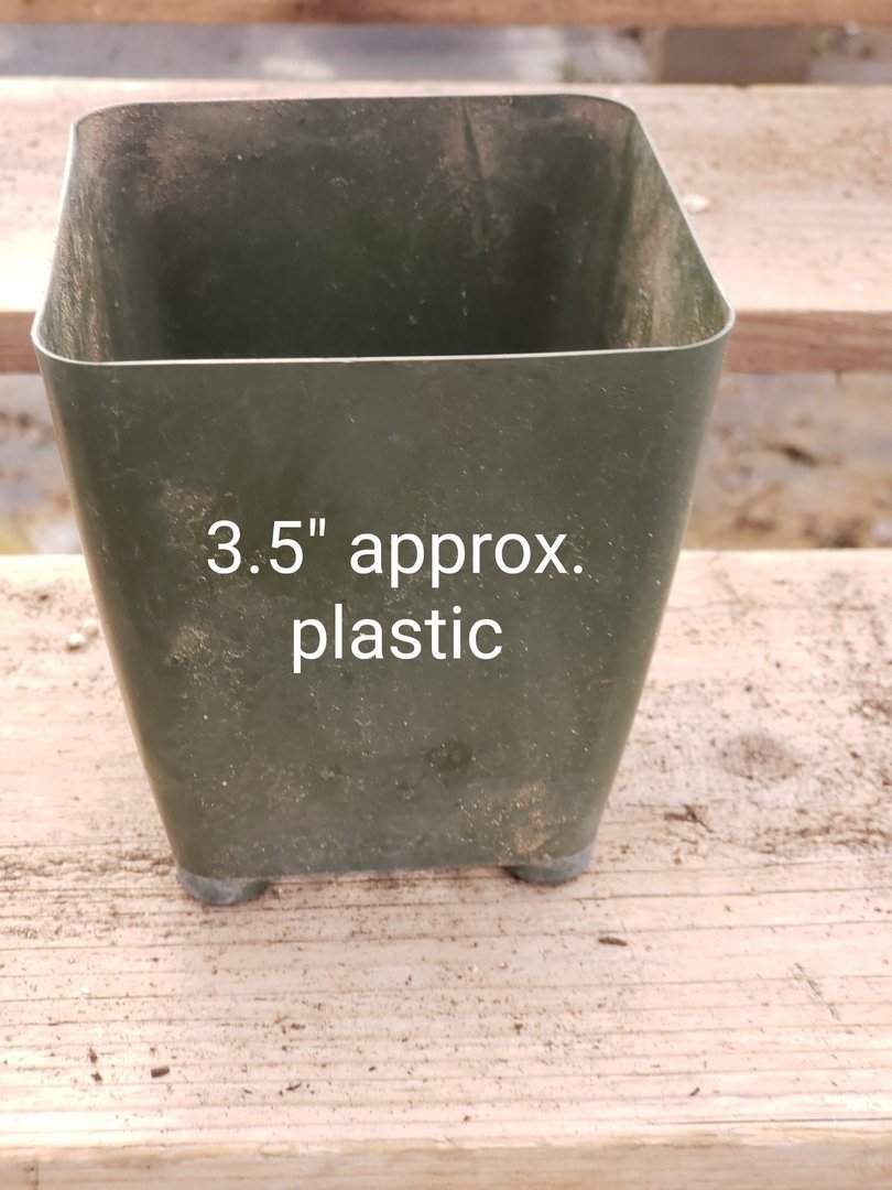 Used Plastic Containers-Accessory-The Succulent Source
