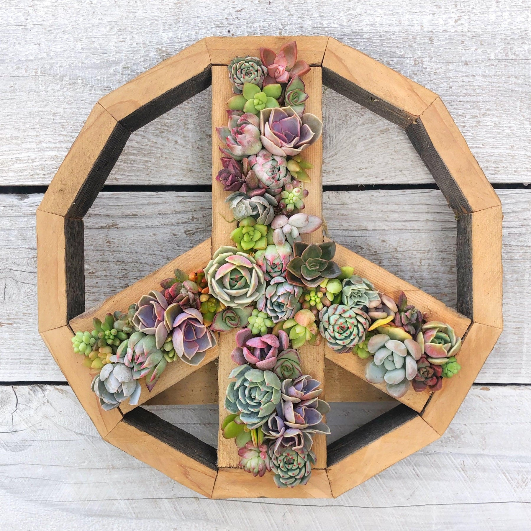 Vertical Garden Peace Sign.