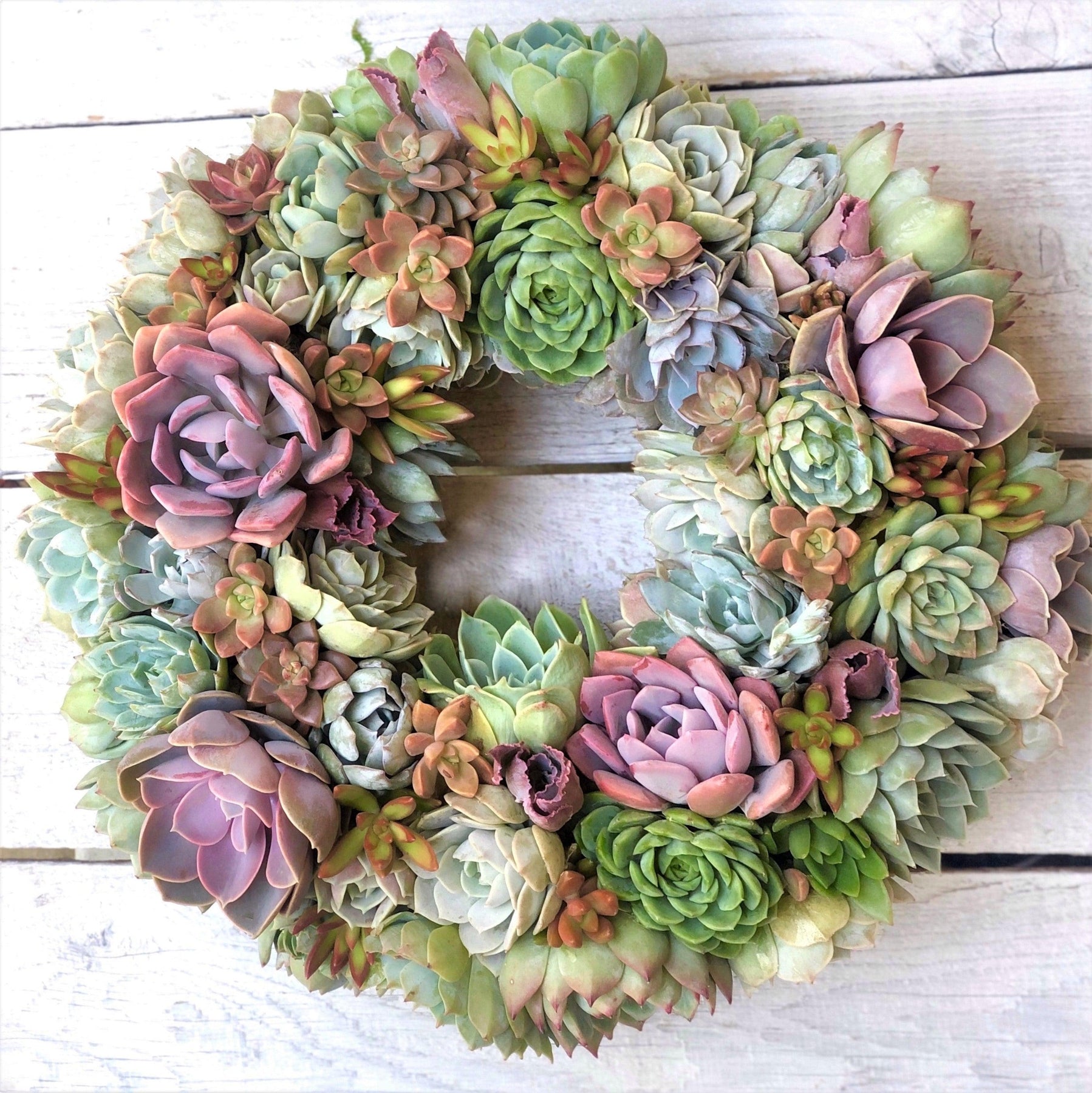 Vibrant Spring Succulent Wreath.