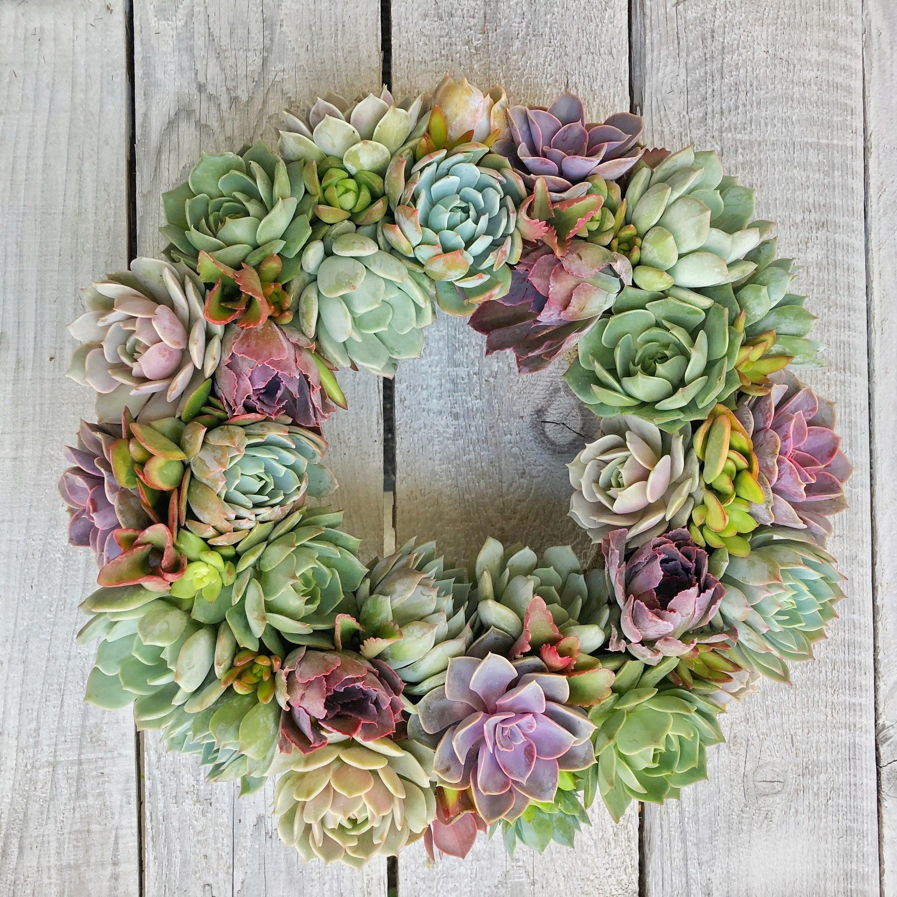 Vibrant Spring Succulent Wreath.