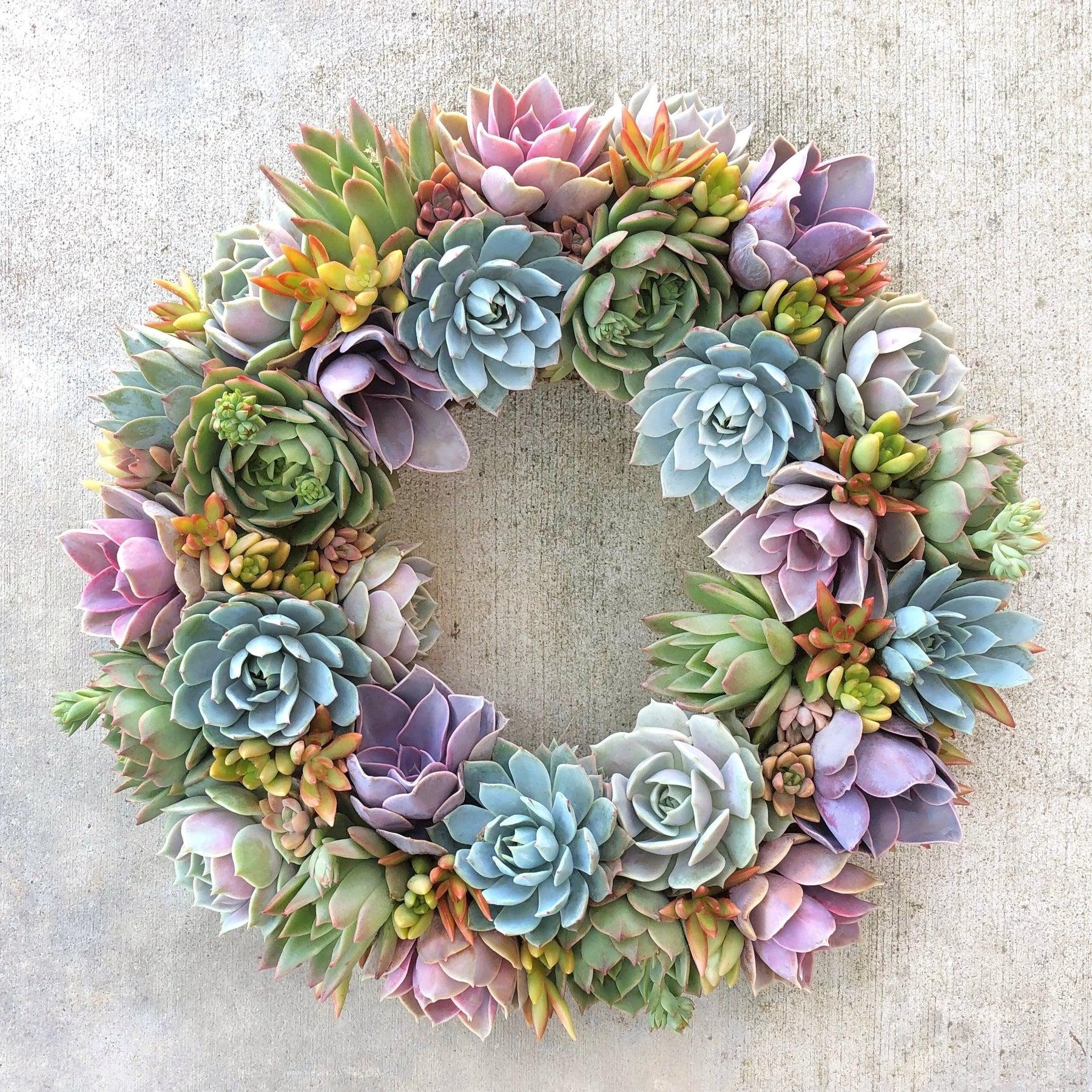 Vibrant Spring Succulent Wreath.