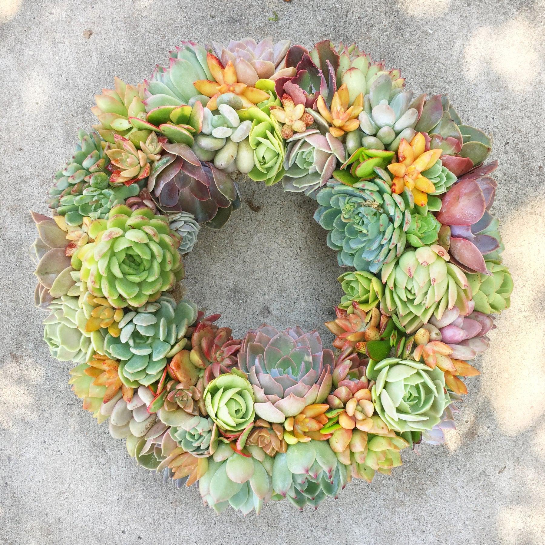Vibrant Spring Succulent Wreath.