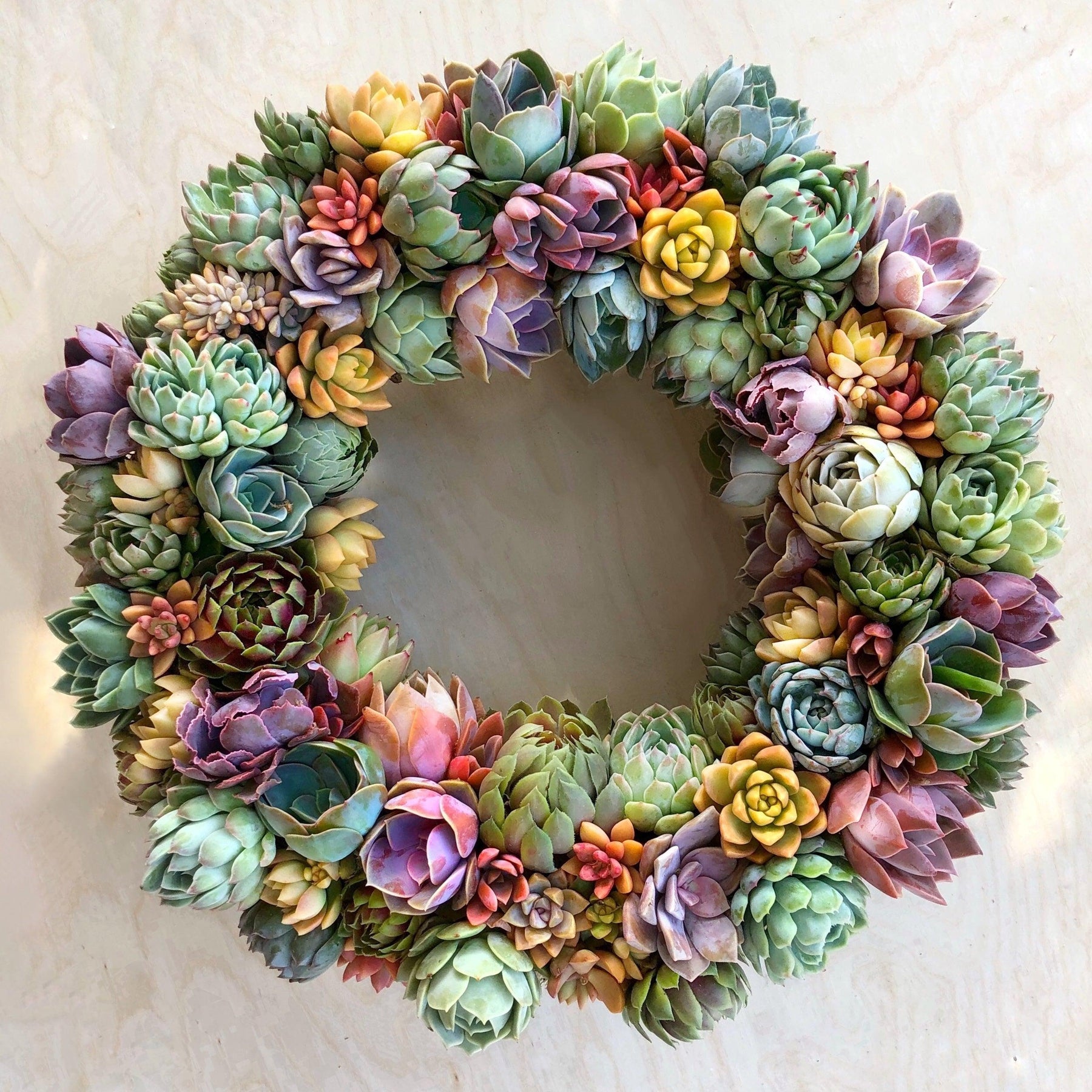 Vibrant Spring Succulent Wreath.